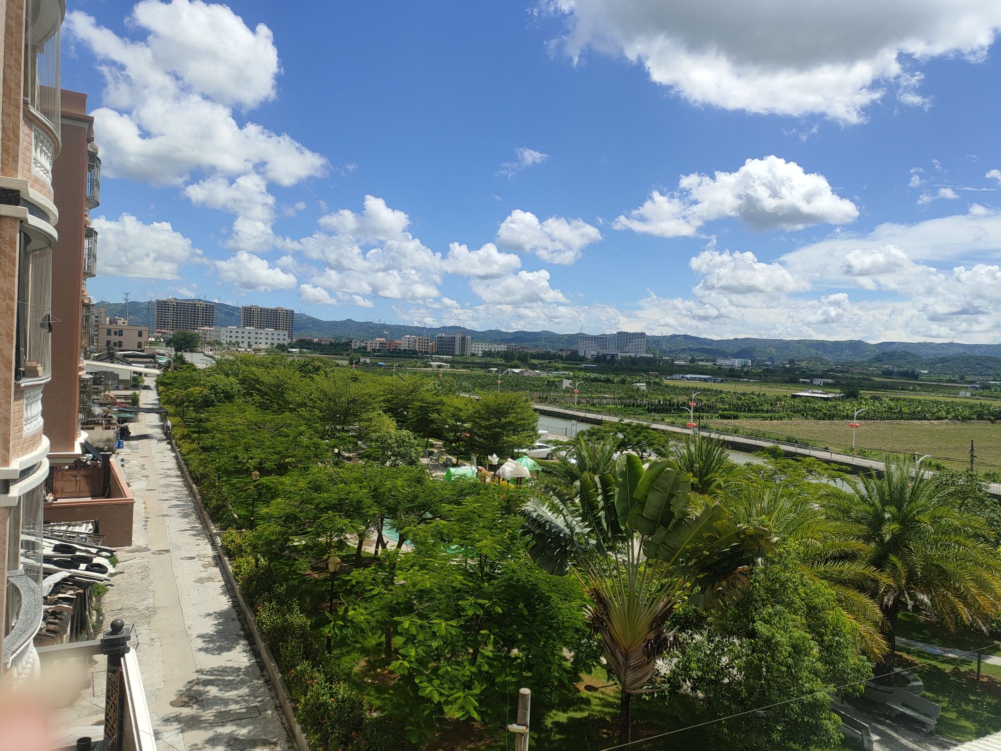 西岐文化公园旅行图片 1