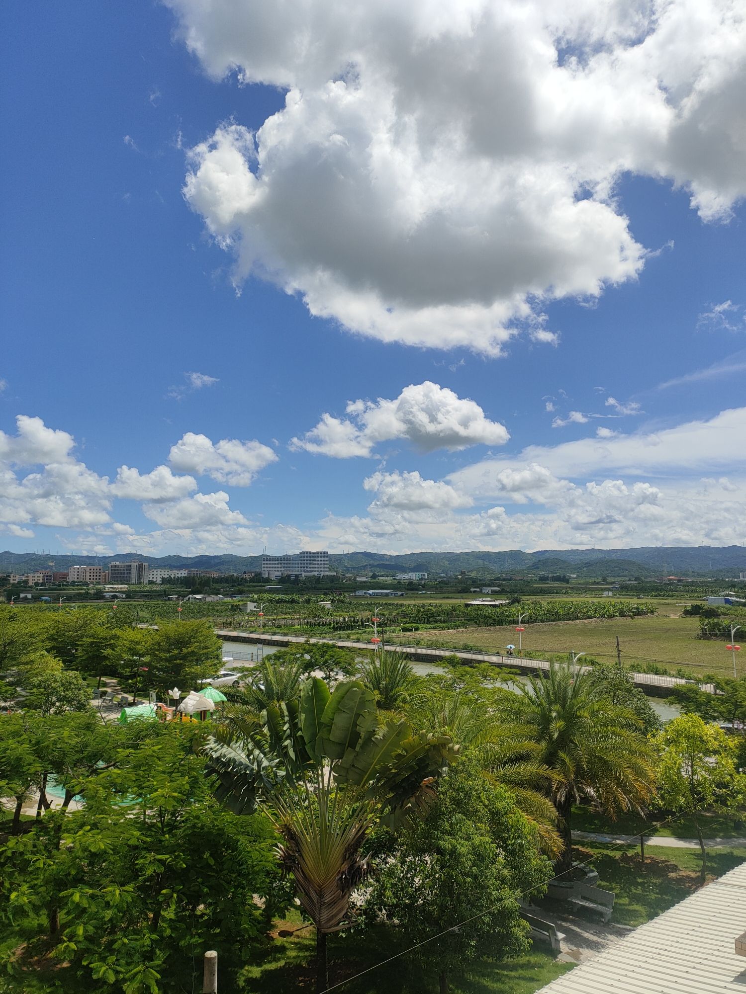 西岐文化公园旅行图片 3