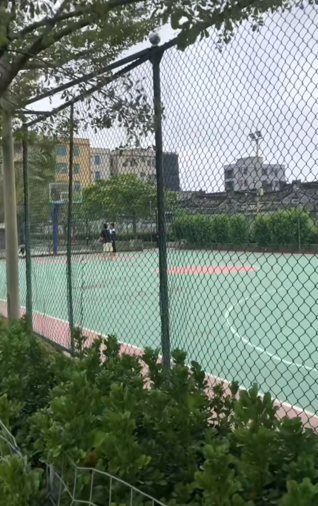西岐文化公园旅行图片 3