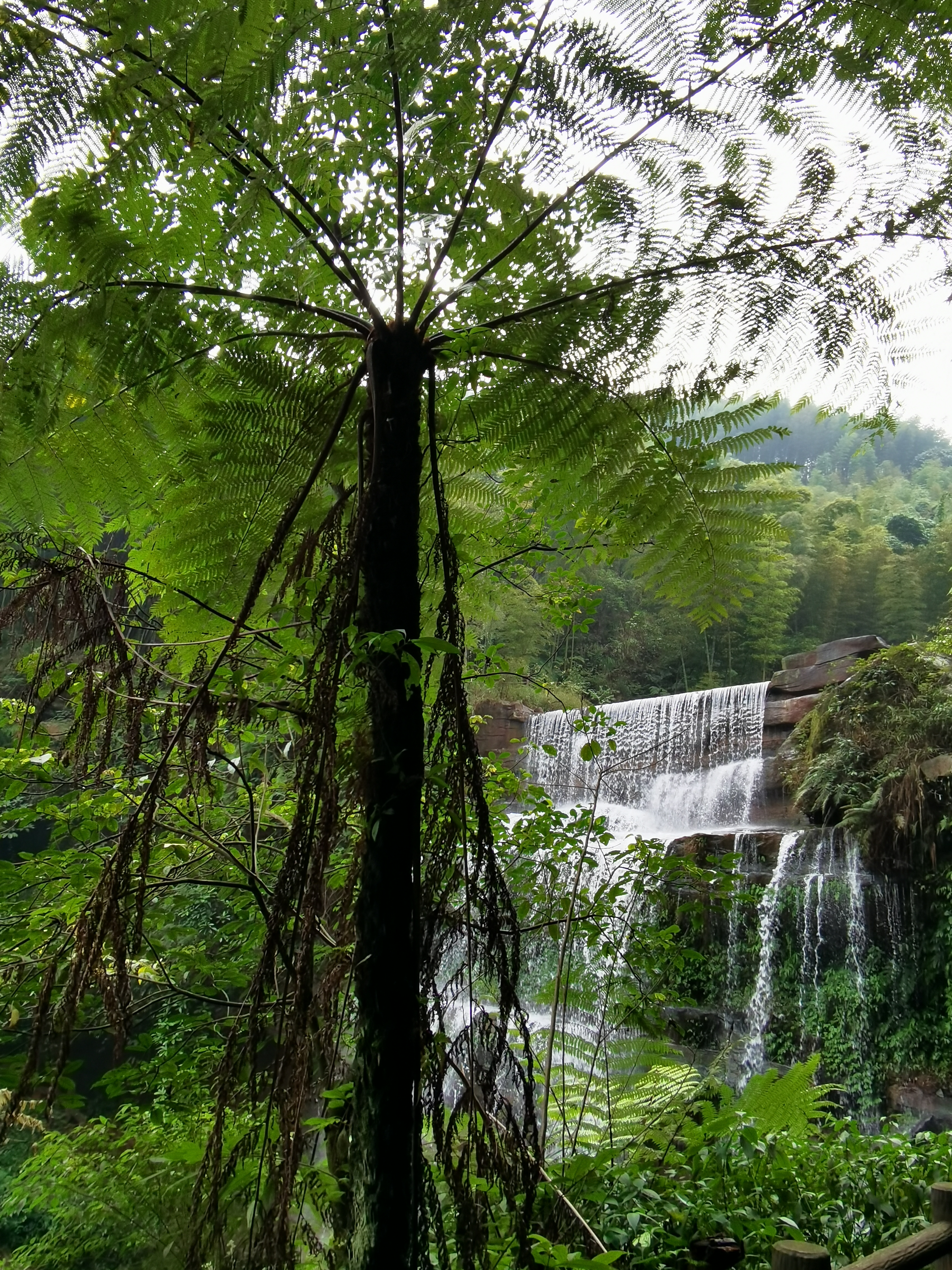 白云山国际旅游风景区旅行图片 3