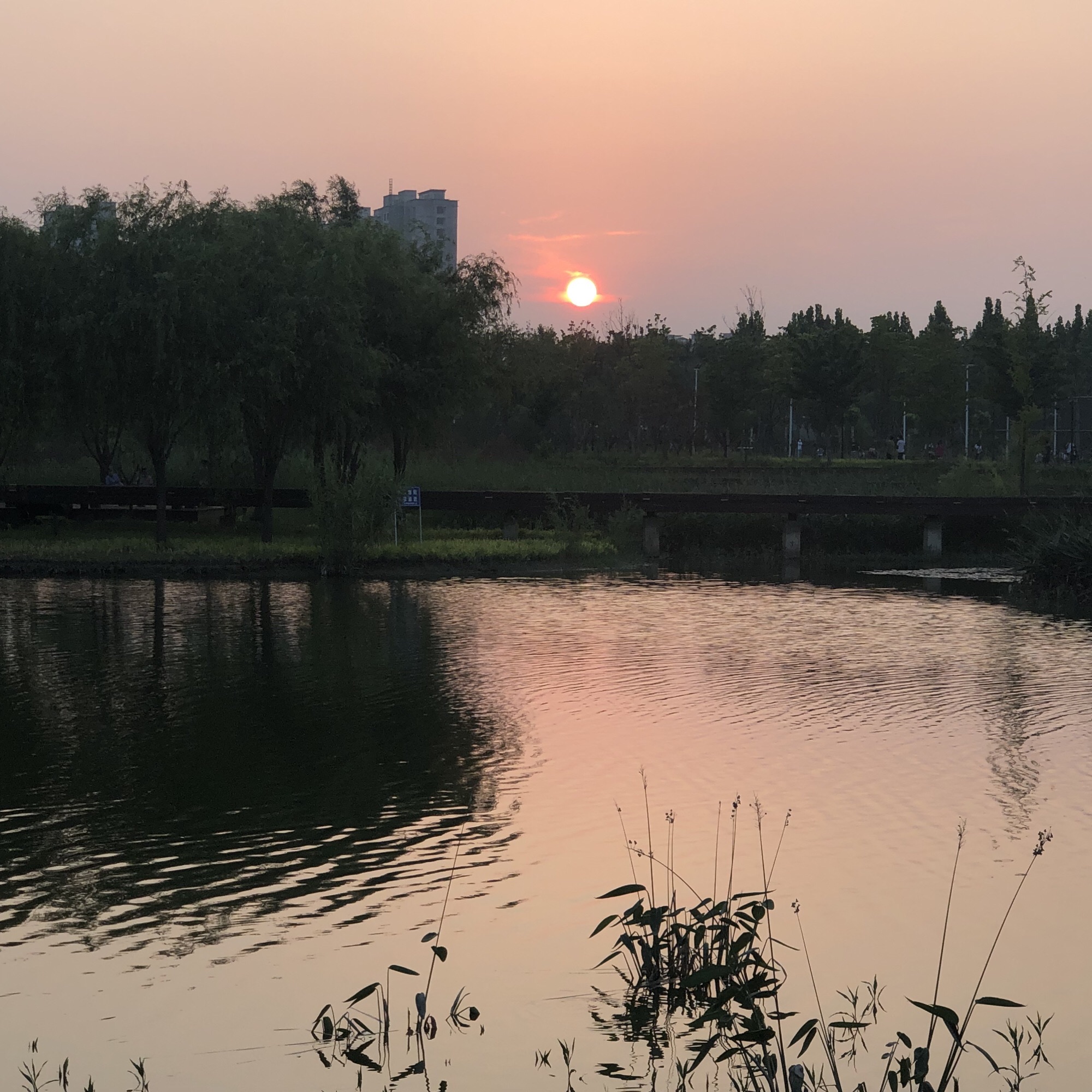 中牟潘安公园旅行图片 2