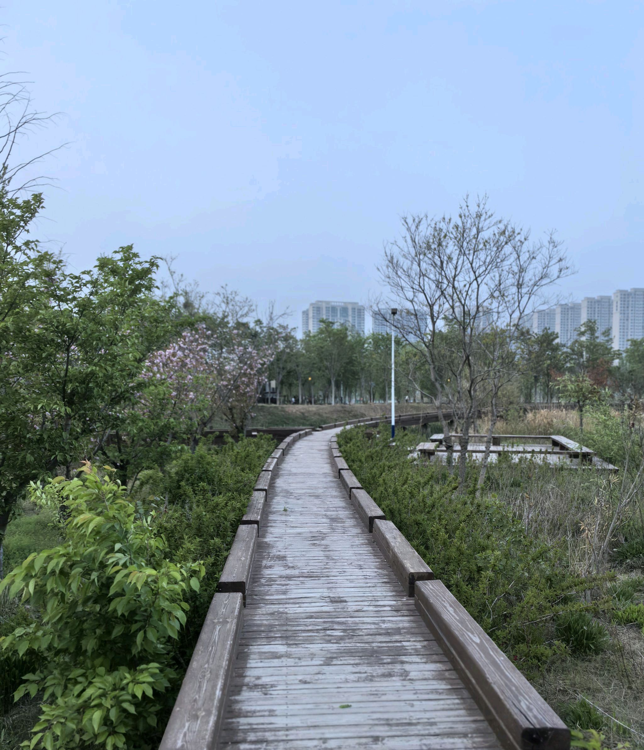 中牟潘安公园旅行图片 2