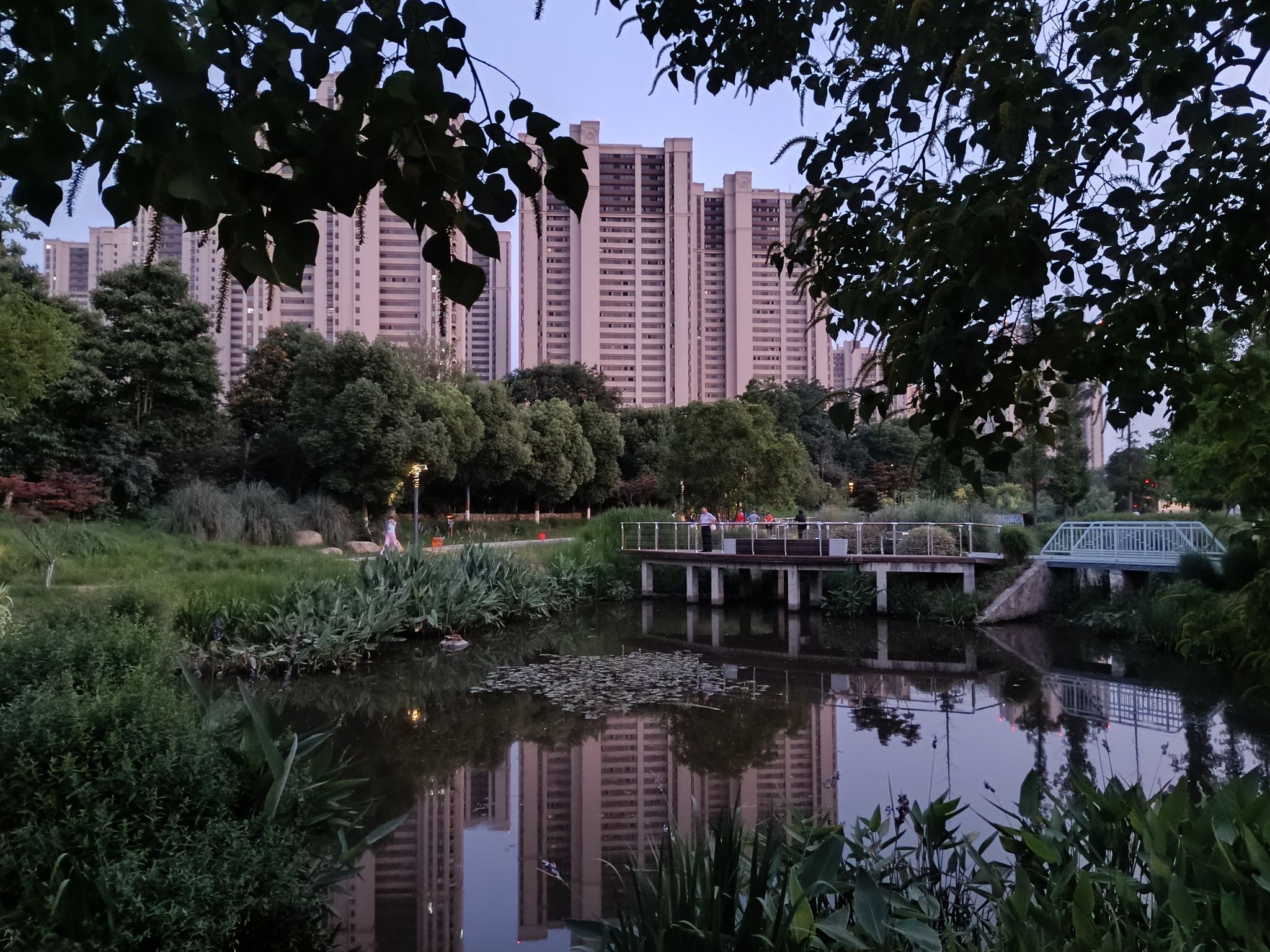 寅春路海绵湿地公园旅行图片 1