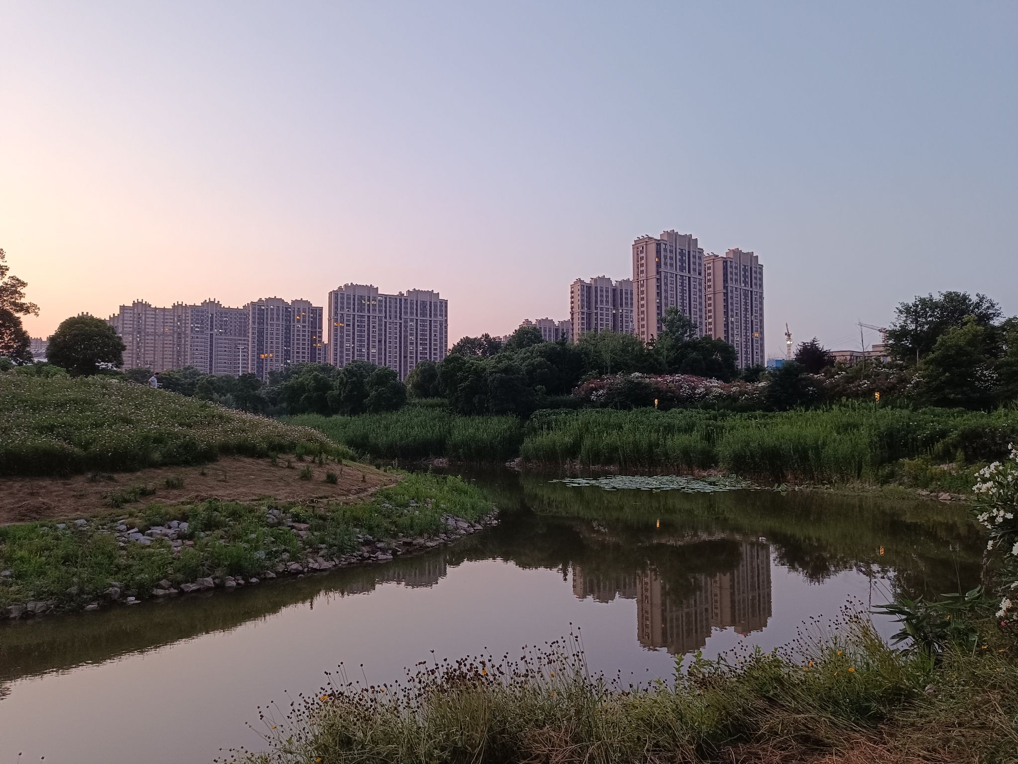 寅春路海绵湿地公园旅行图片 3