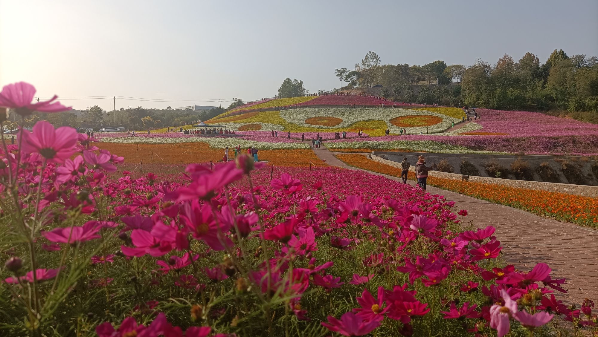 麻念庄郊野公园