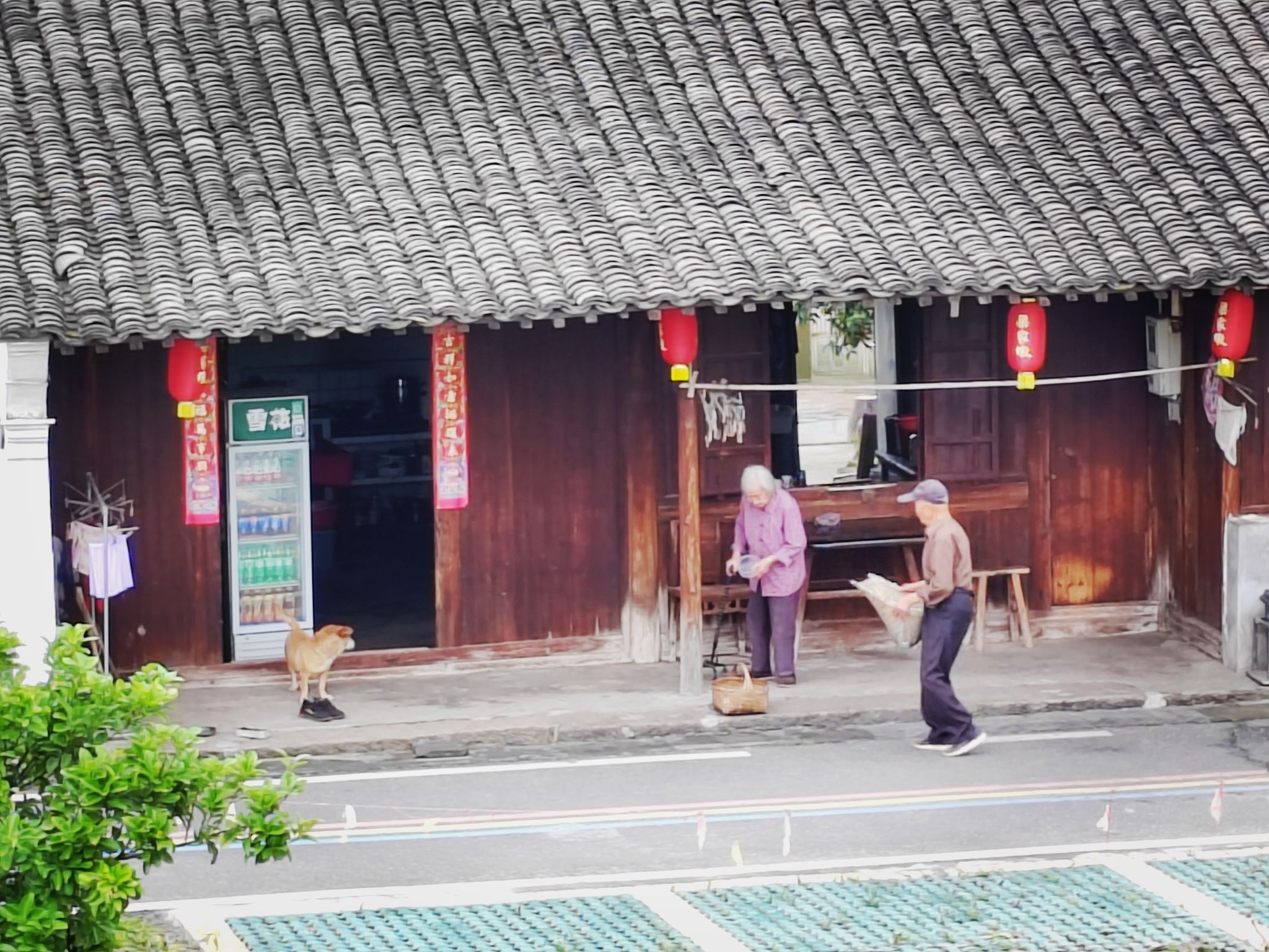 梁家墩景区旅行图片 2