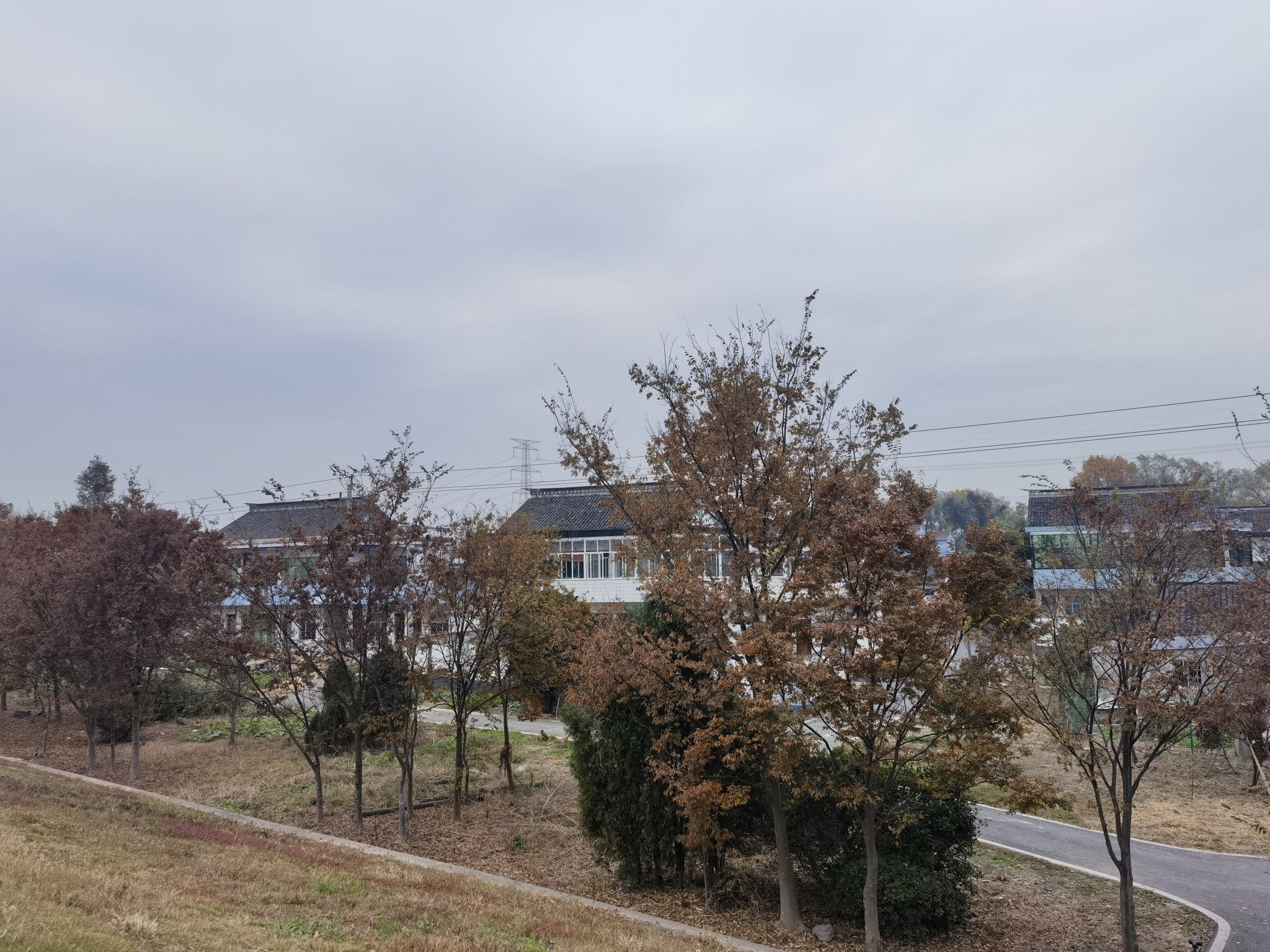 梁家墩景区旅行图片 2
