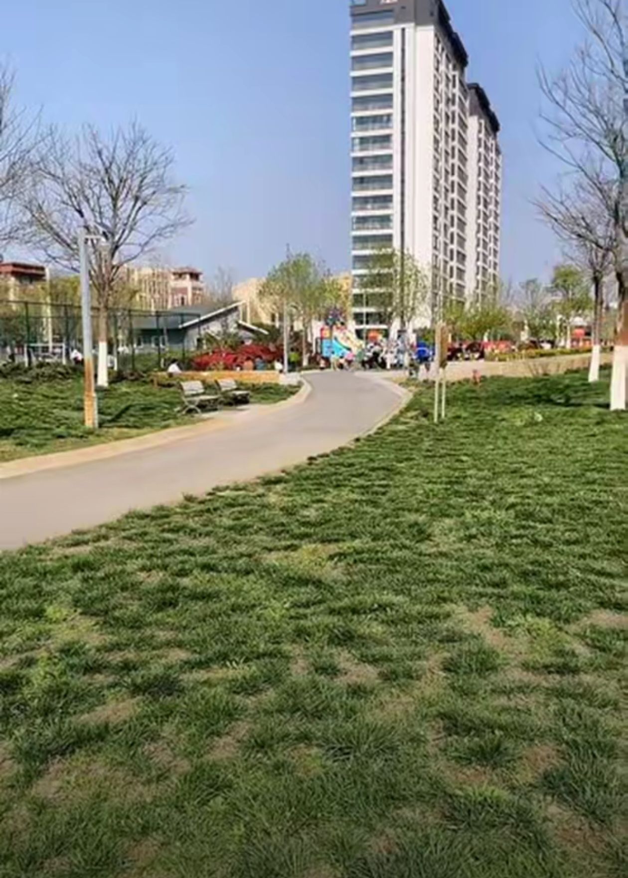 原阳文化公园旅行图片 2