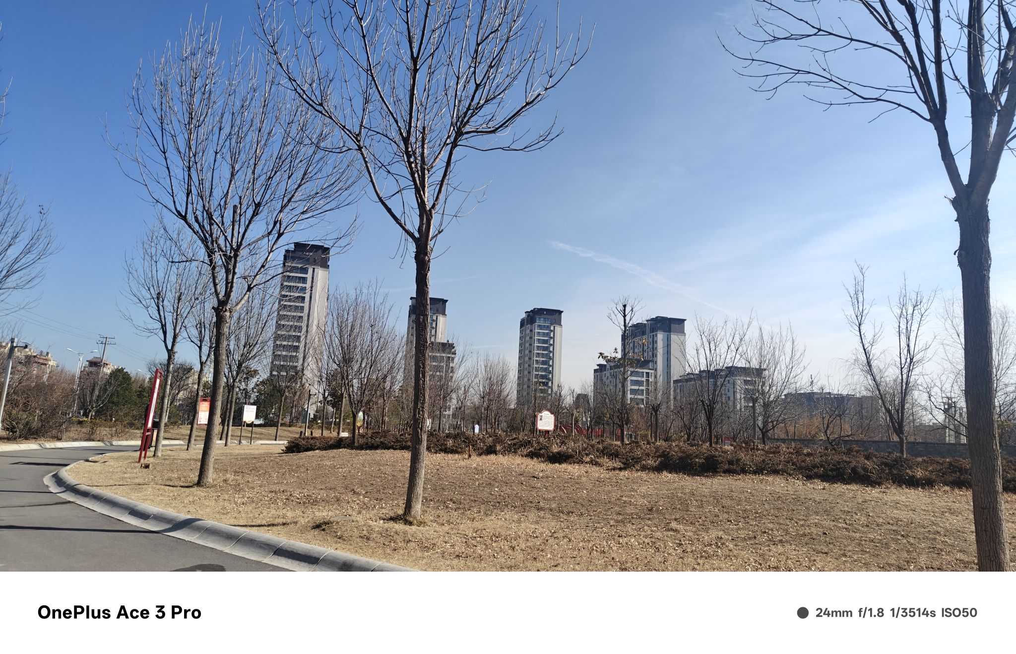 原阳文化公园旅行图片 1