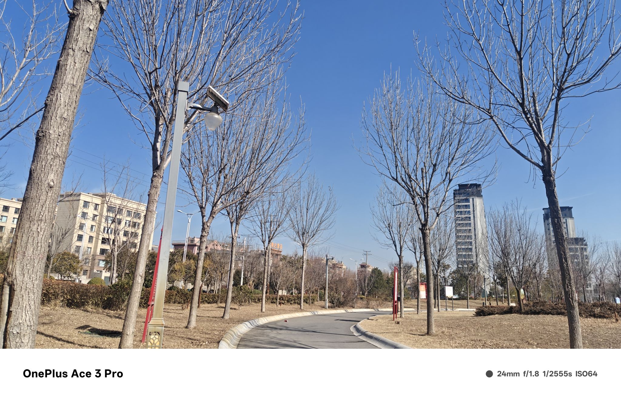 原阳文化公园旅行图片 2