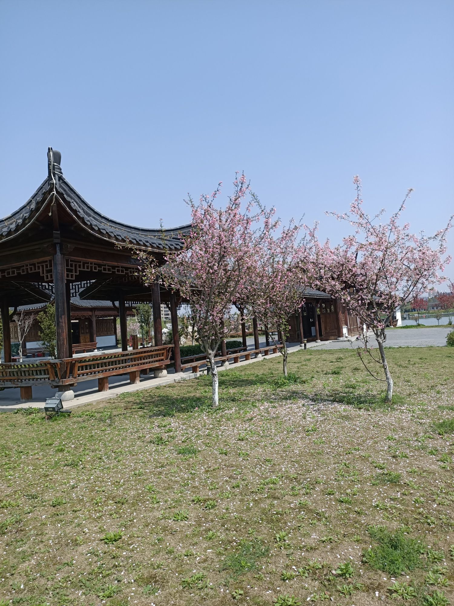 城西湖公园