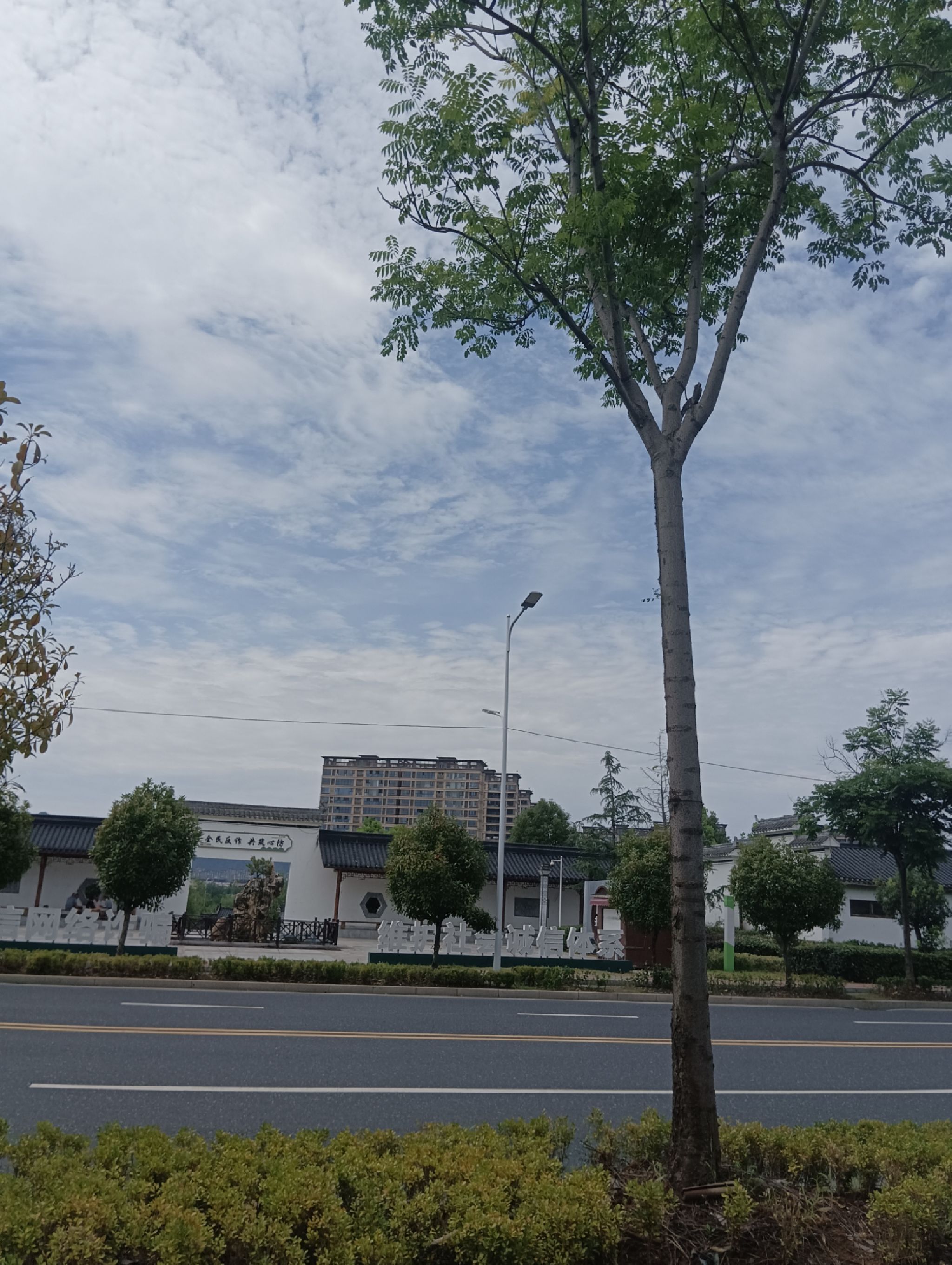 城西湖公园旅行图片 3