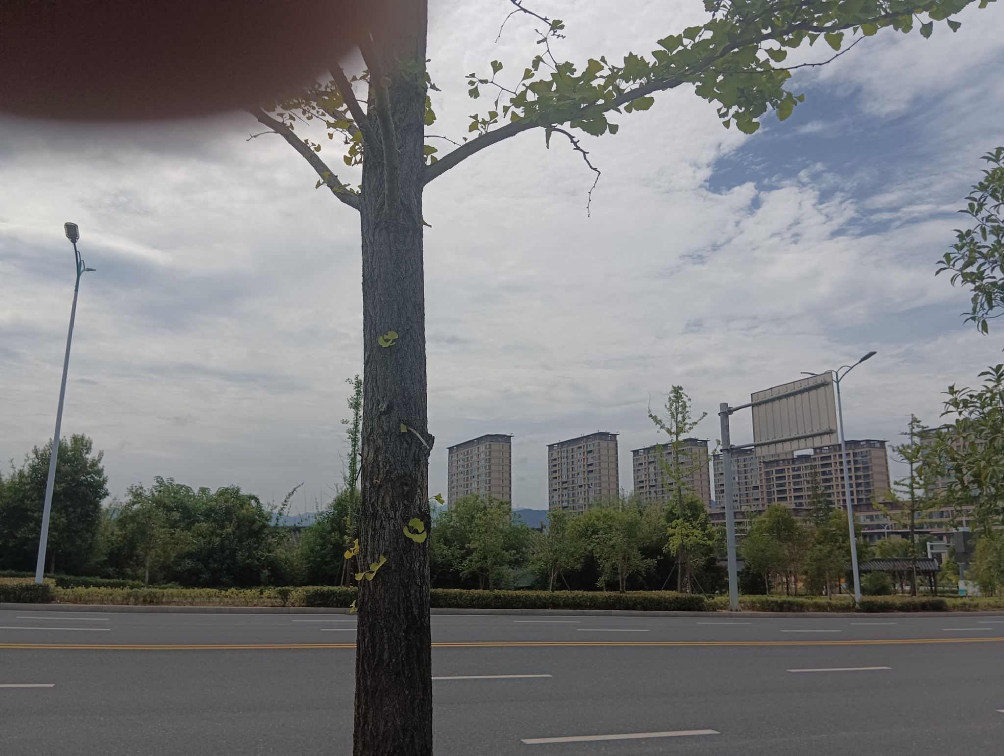 城西湖公园旅行图片 1