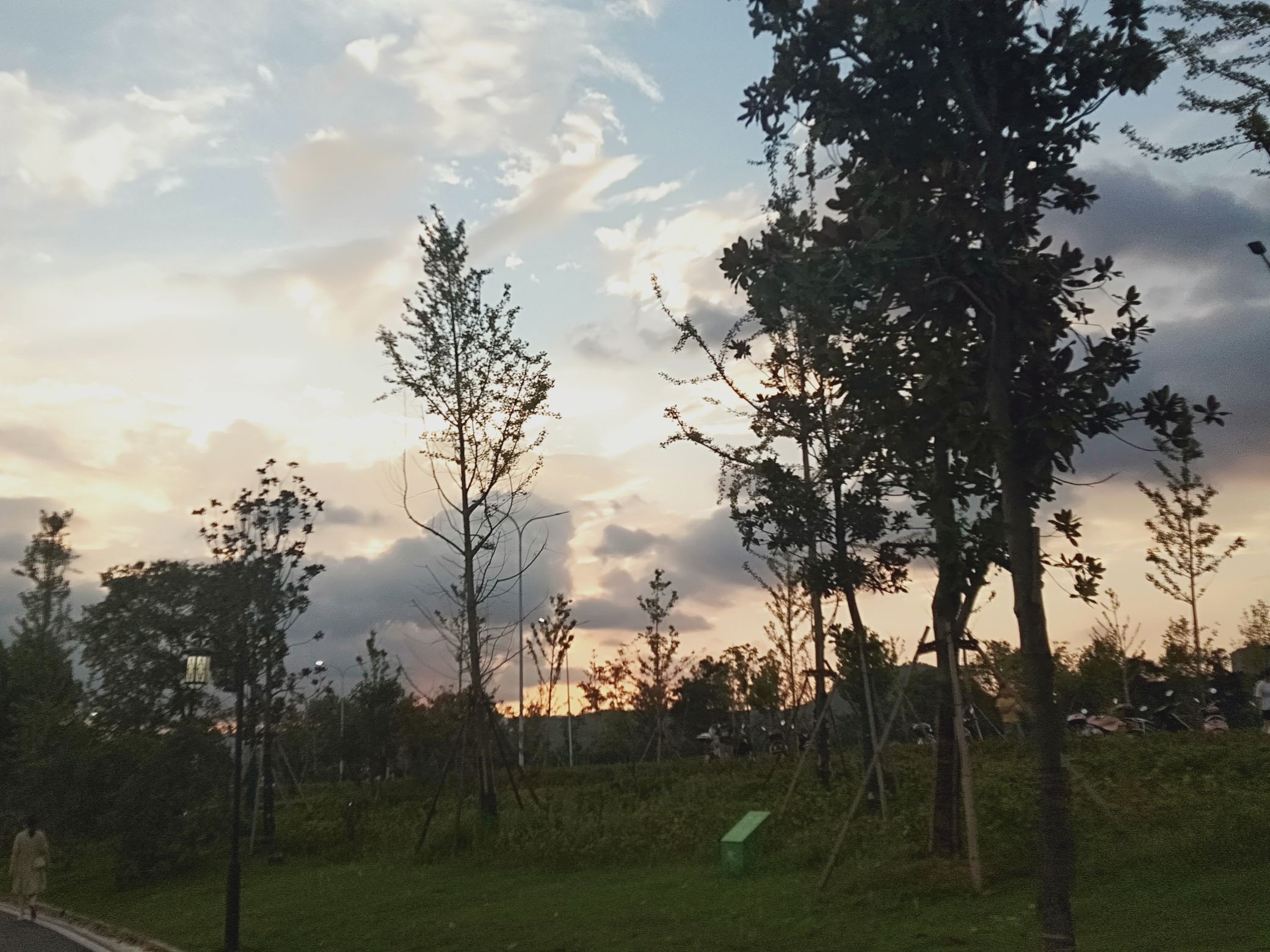 城西湖公园旅行图片 1