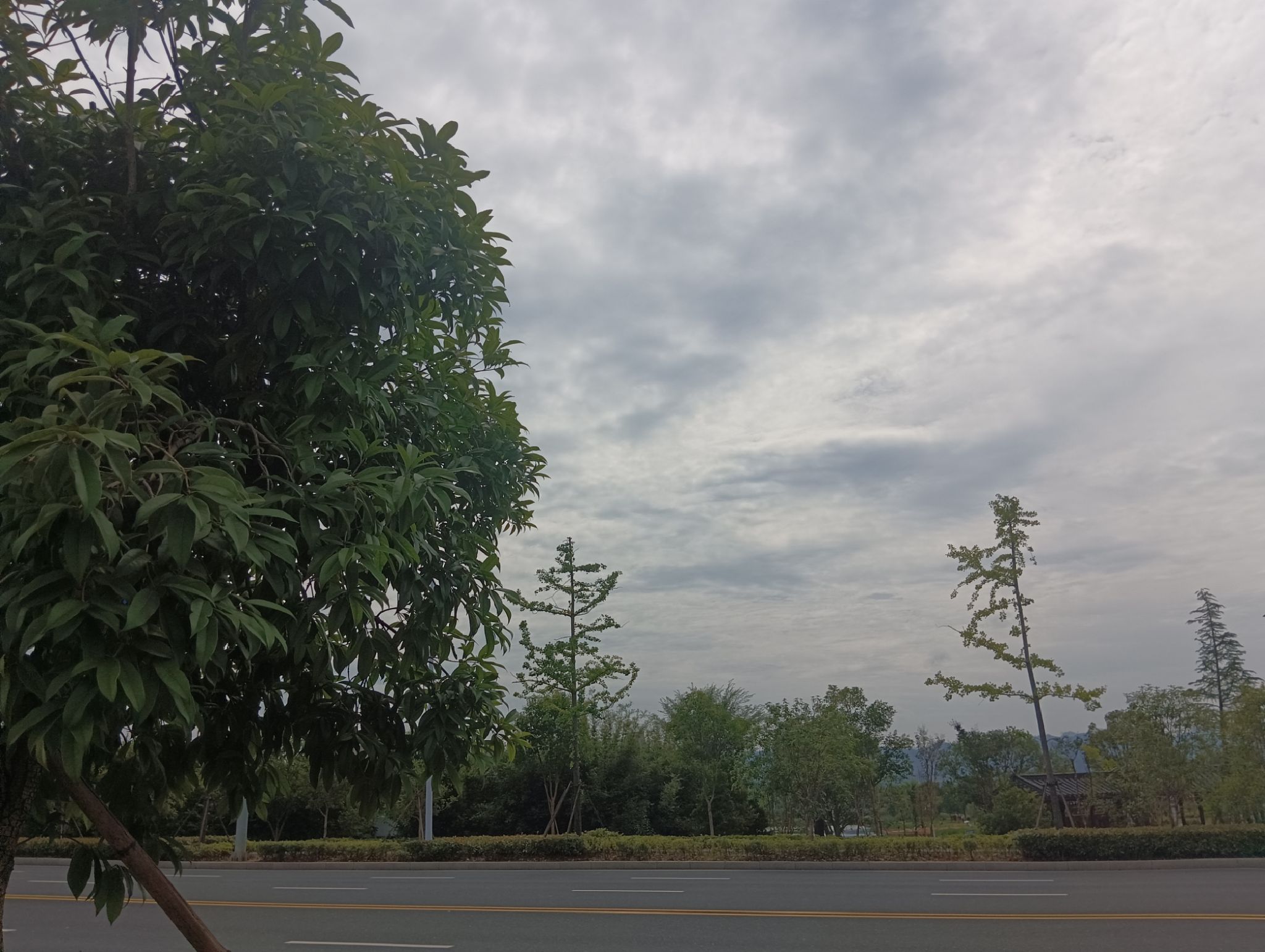 城西湖公园旅行图片 2