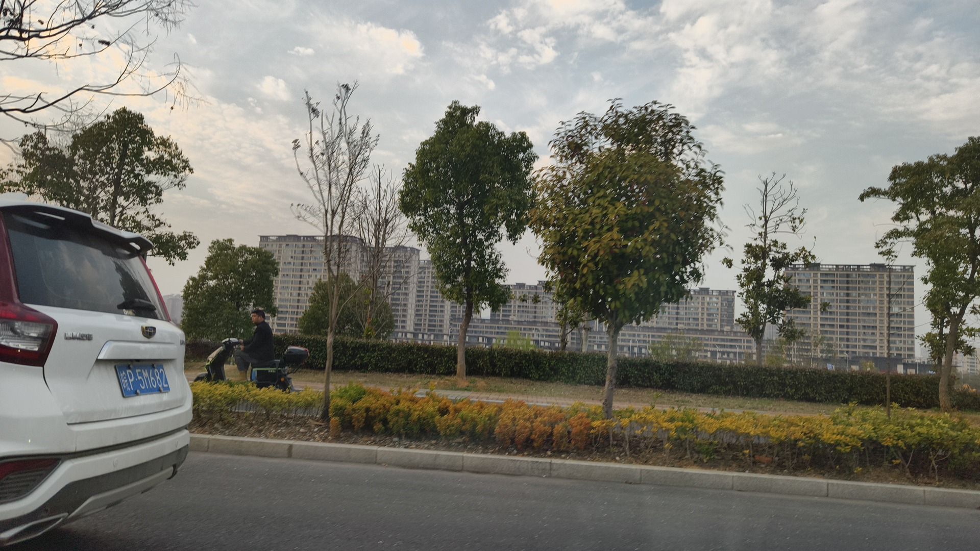 城西湖公园旅行图片 1