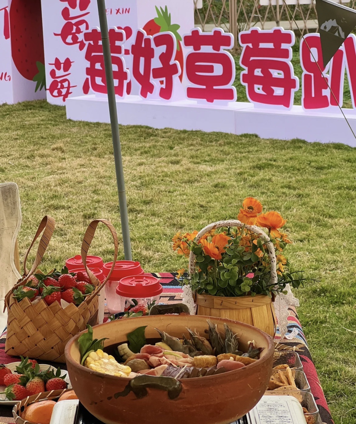 莓好农创园旅行图片 2