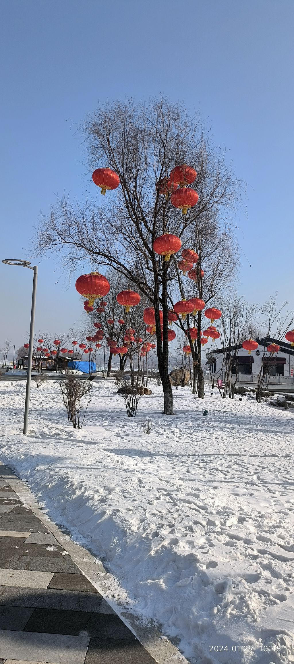 海龙湖景区旅行图片 3