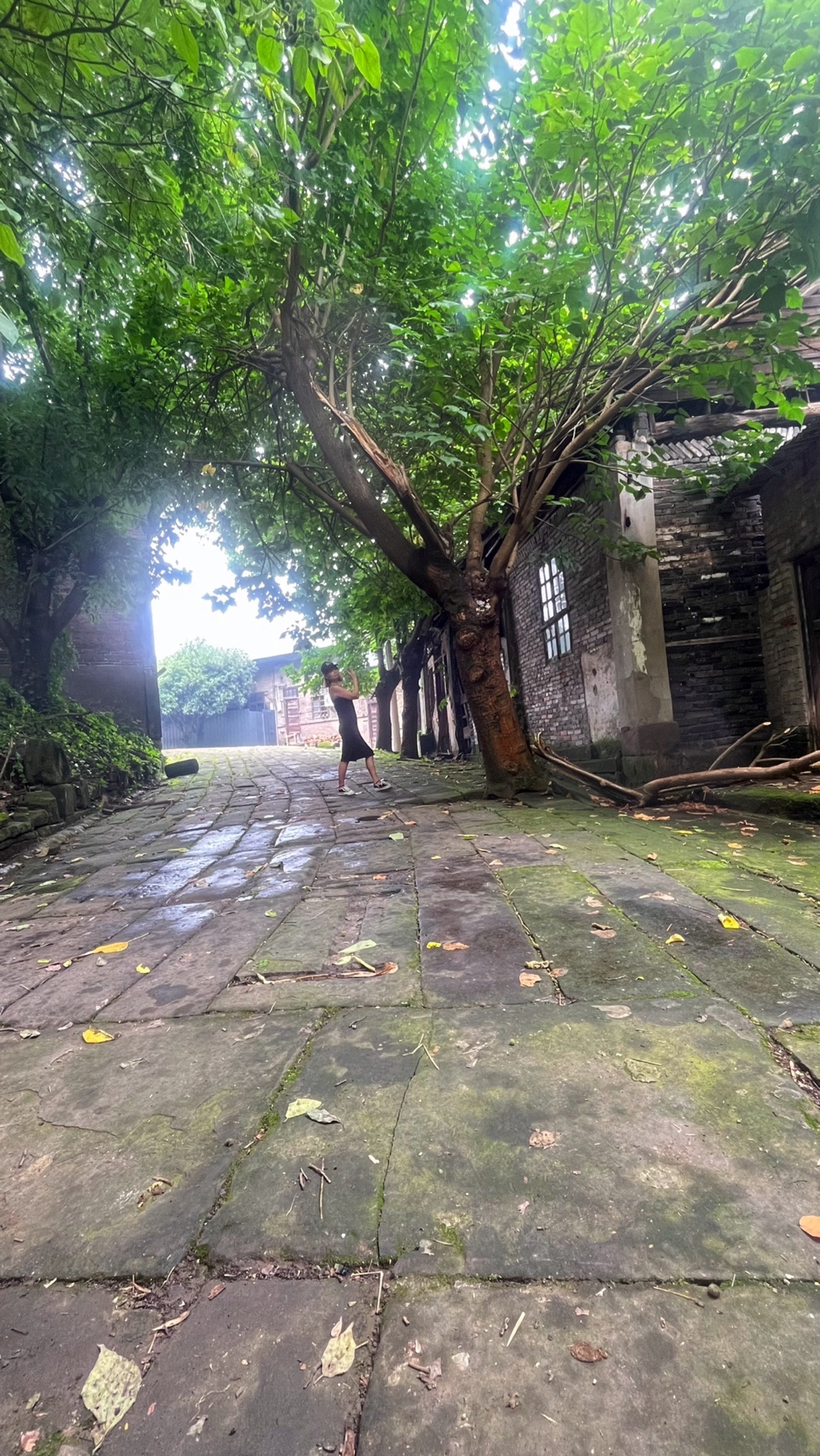 铜罐古镇旅行图片 1
