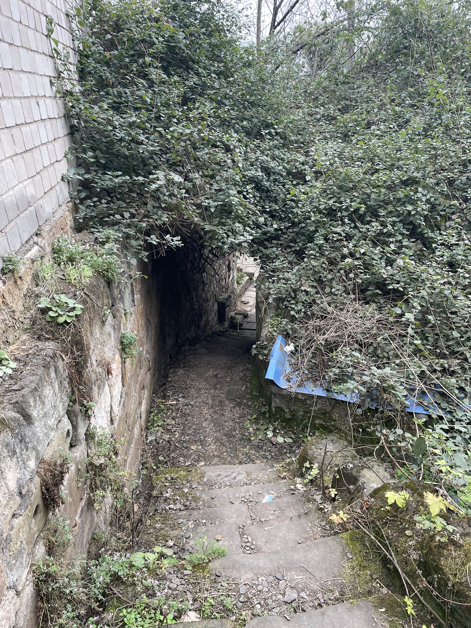 铜罐古镇旅行图片 2