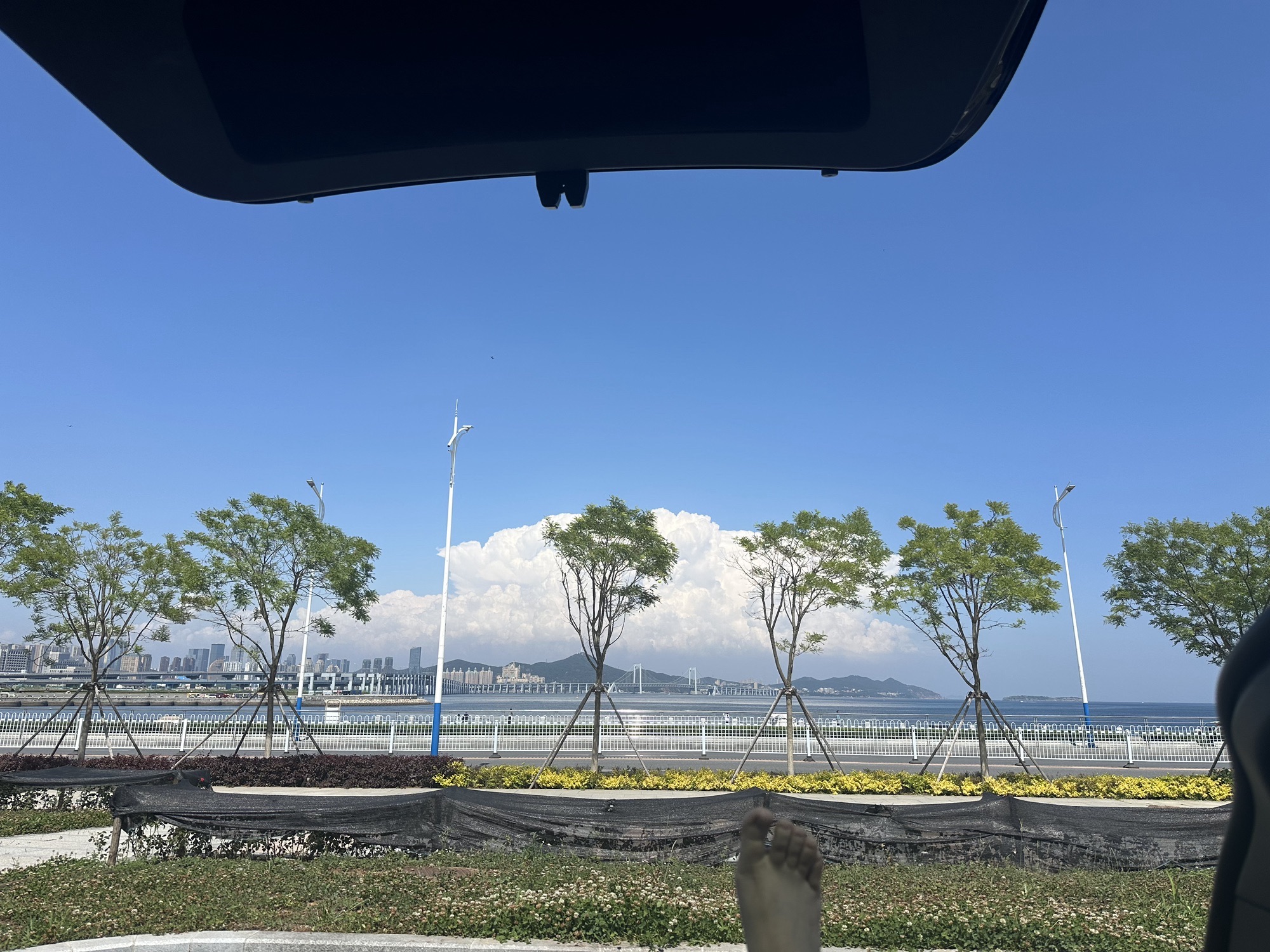 海纳百川大连国际雕塑公园旅行图片 2