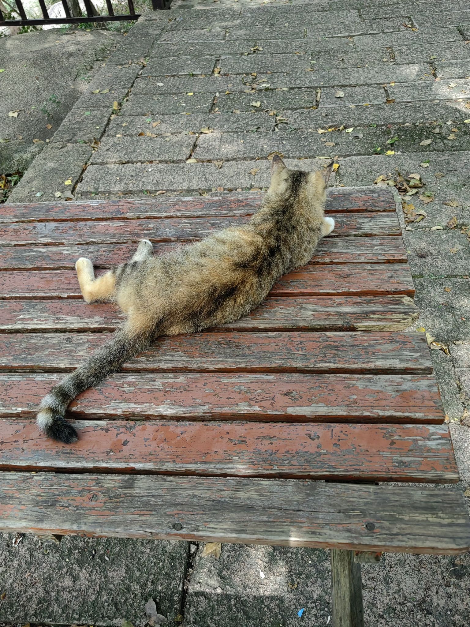 乌龙溪景区旅行图片 2