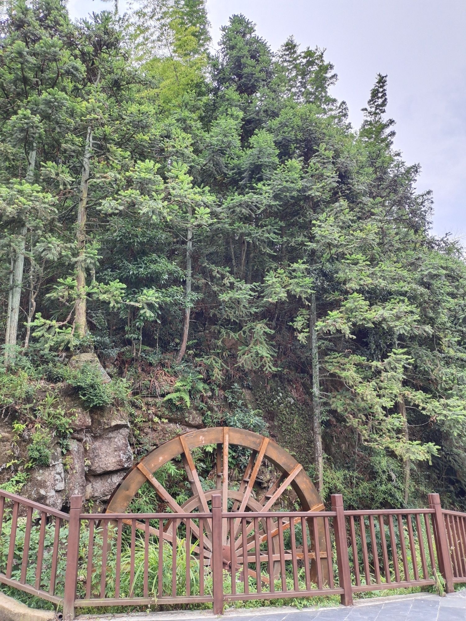 龙下瀑布旅行图片 3