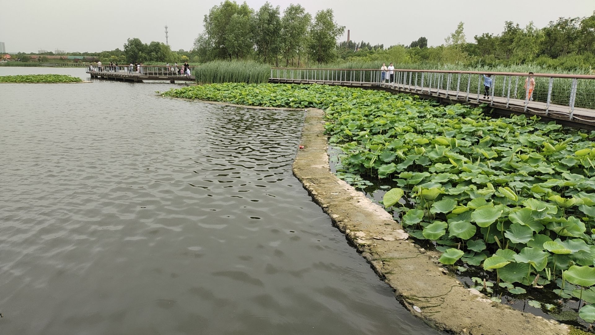 洺湖公园