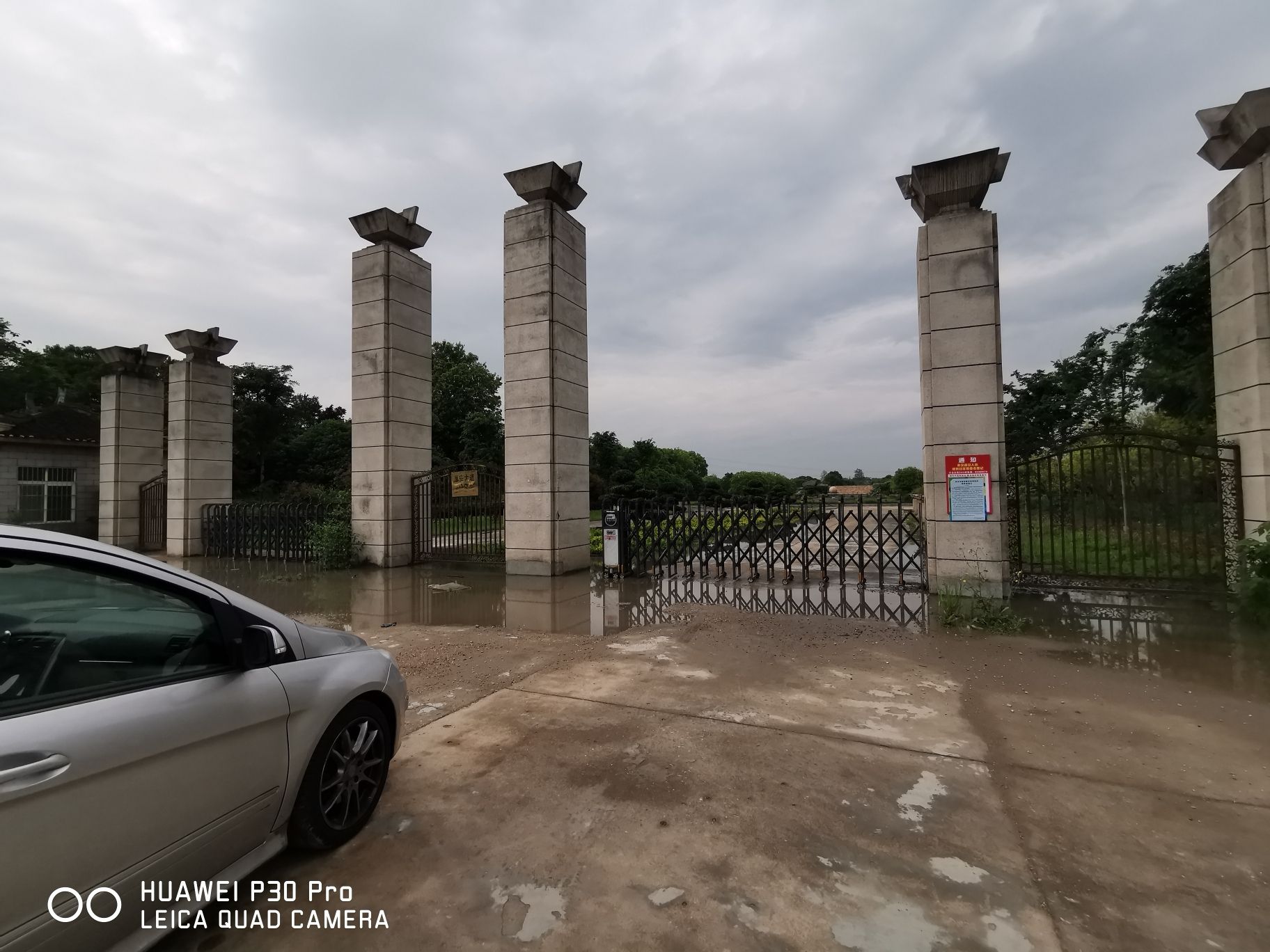 牡丹园旅行图片