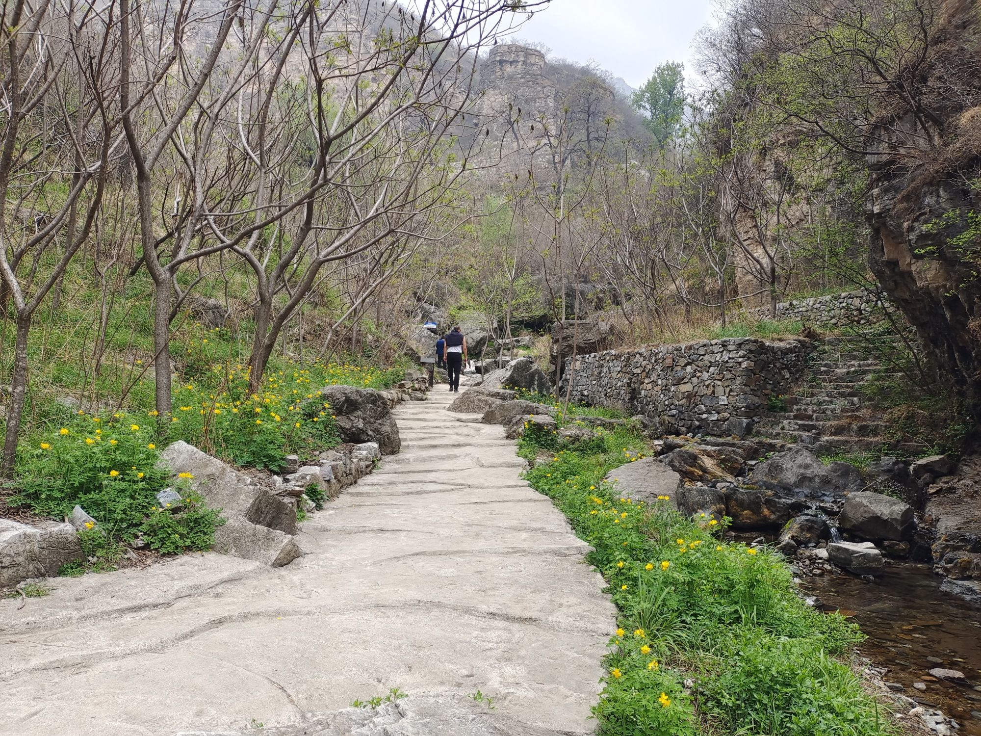 三妙峰(暂停开放)旅行图片 3