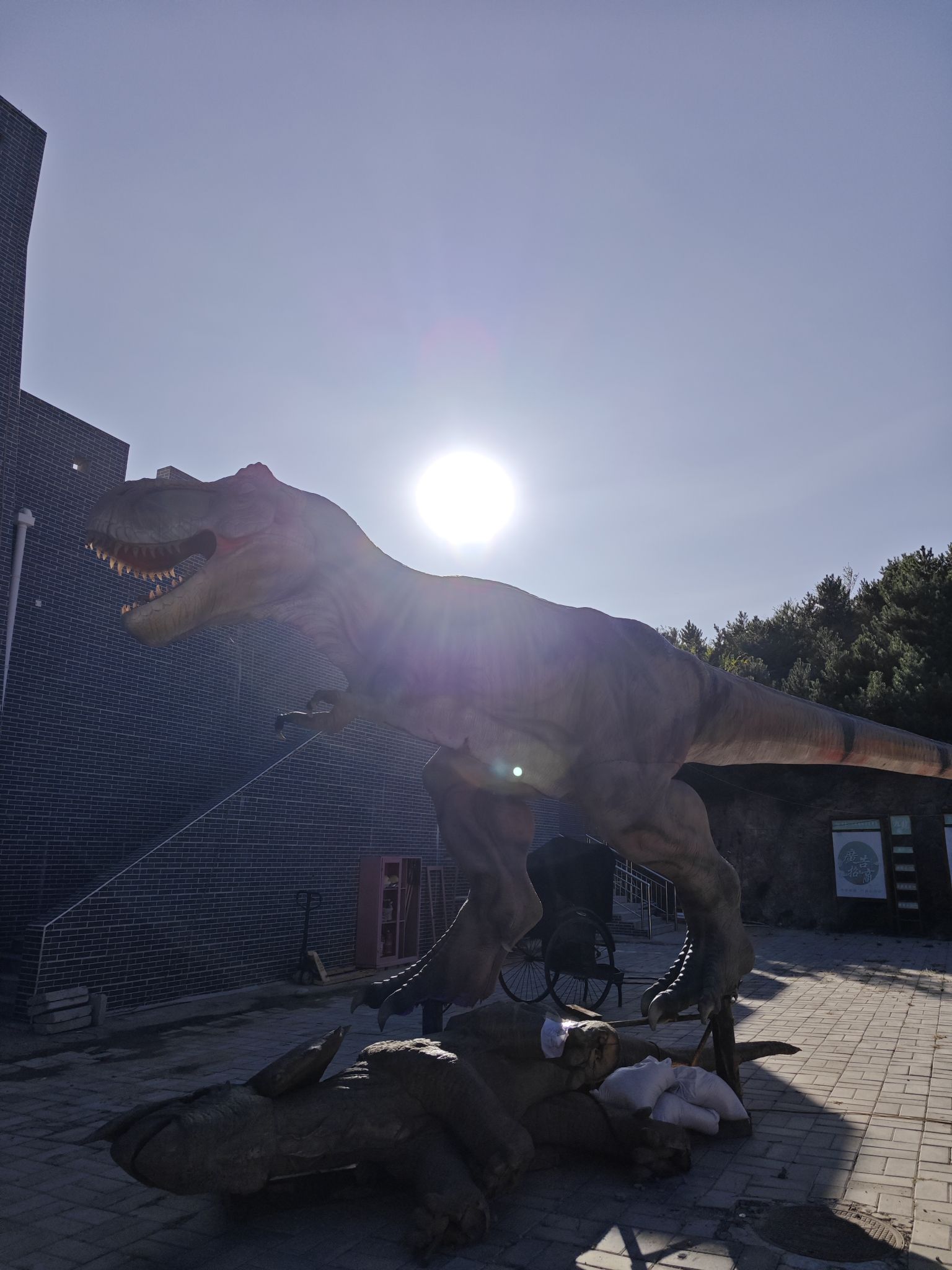 九龙峪(暂停开放)旅行图片 2