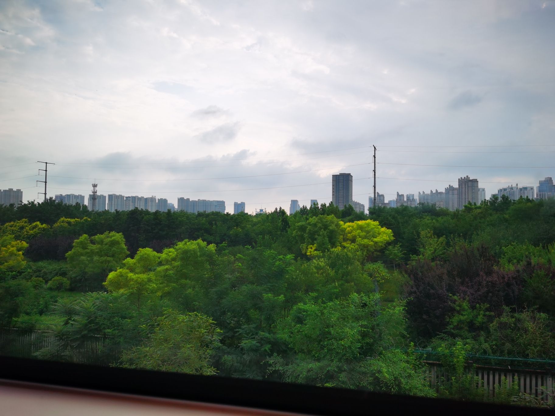 邯郸植物园旅行图片 2