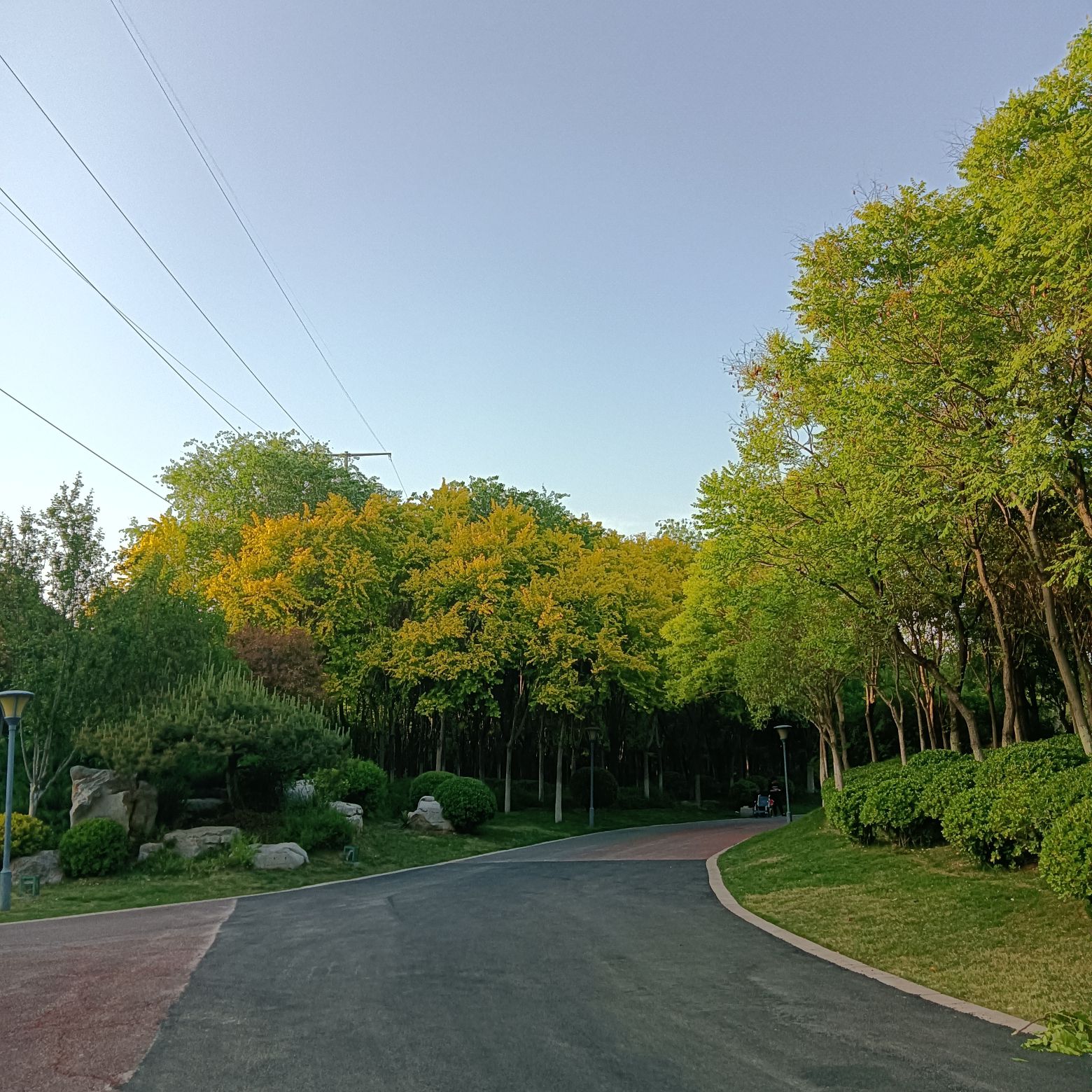 邯郸植物园旅行图片 1