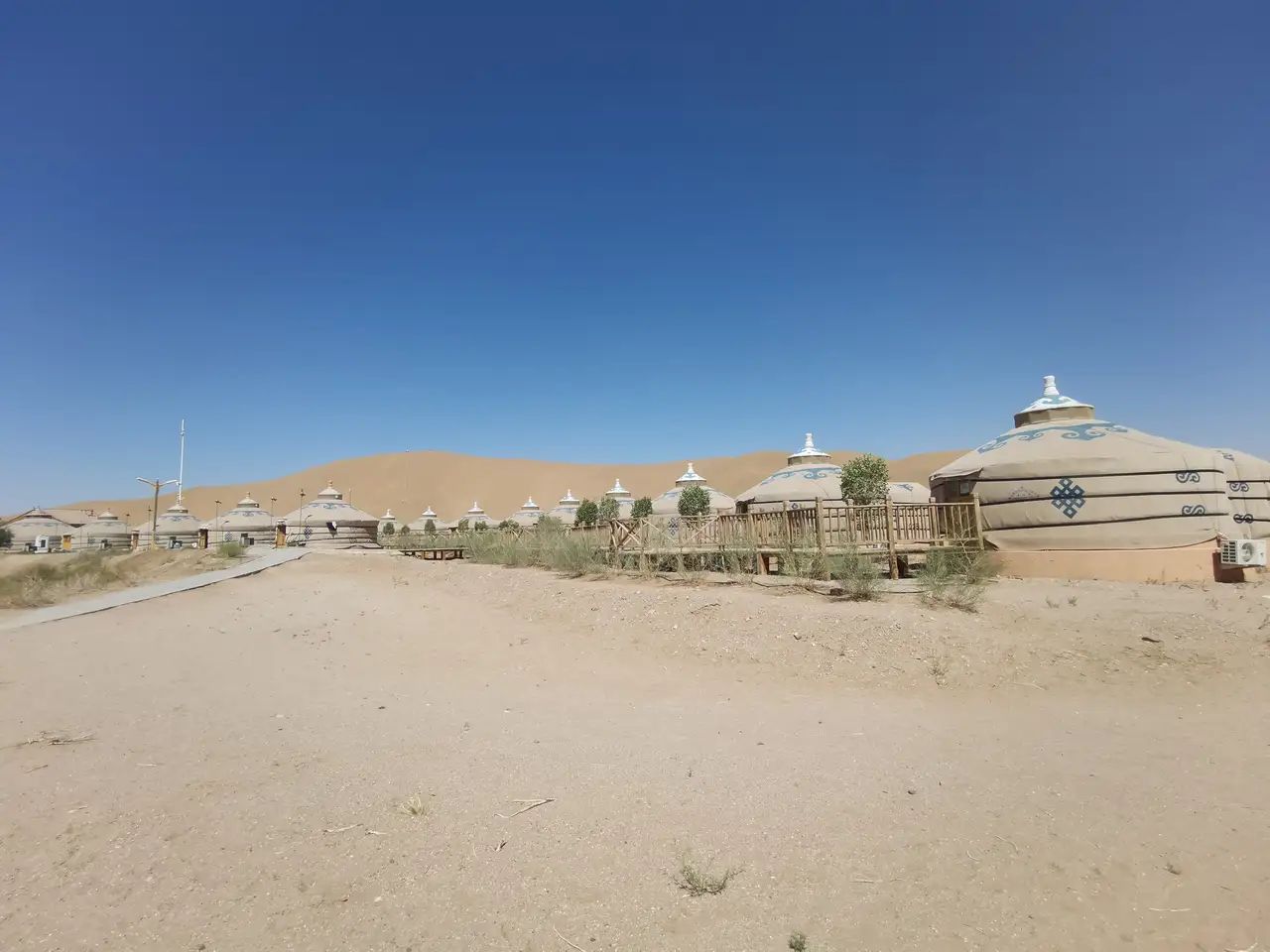 九棵树沙漠景区旅行图片 3