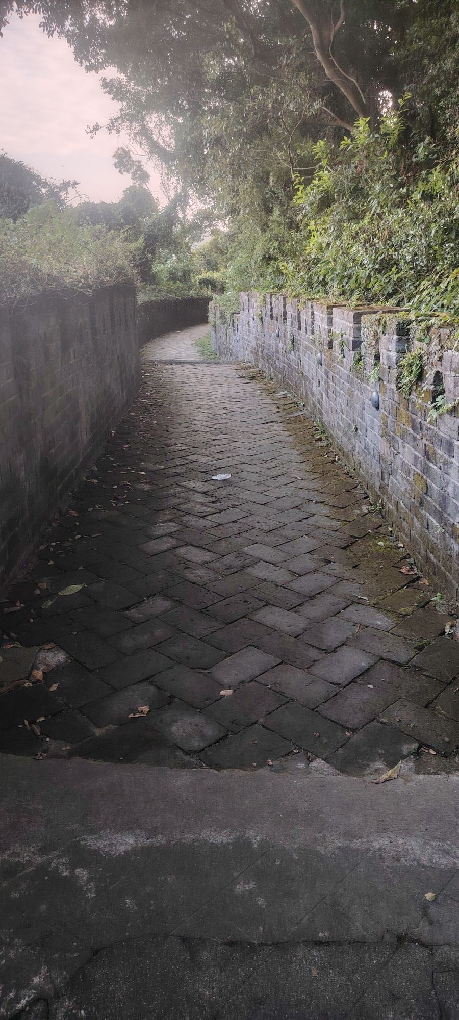 小长城旅行图片 1