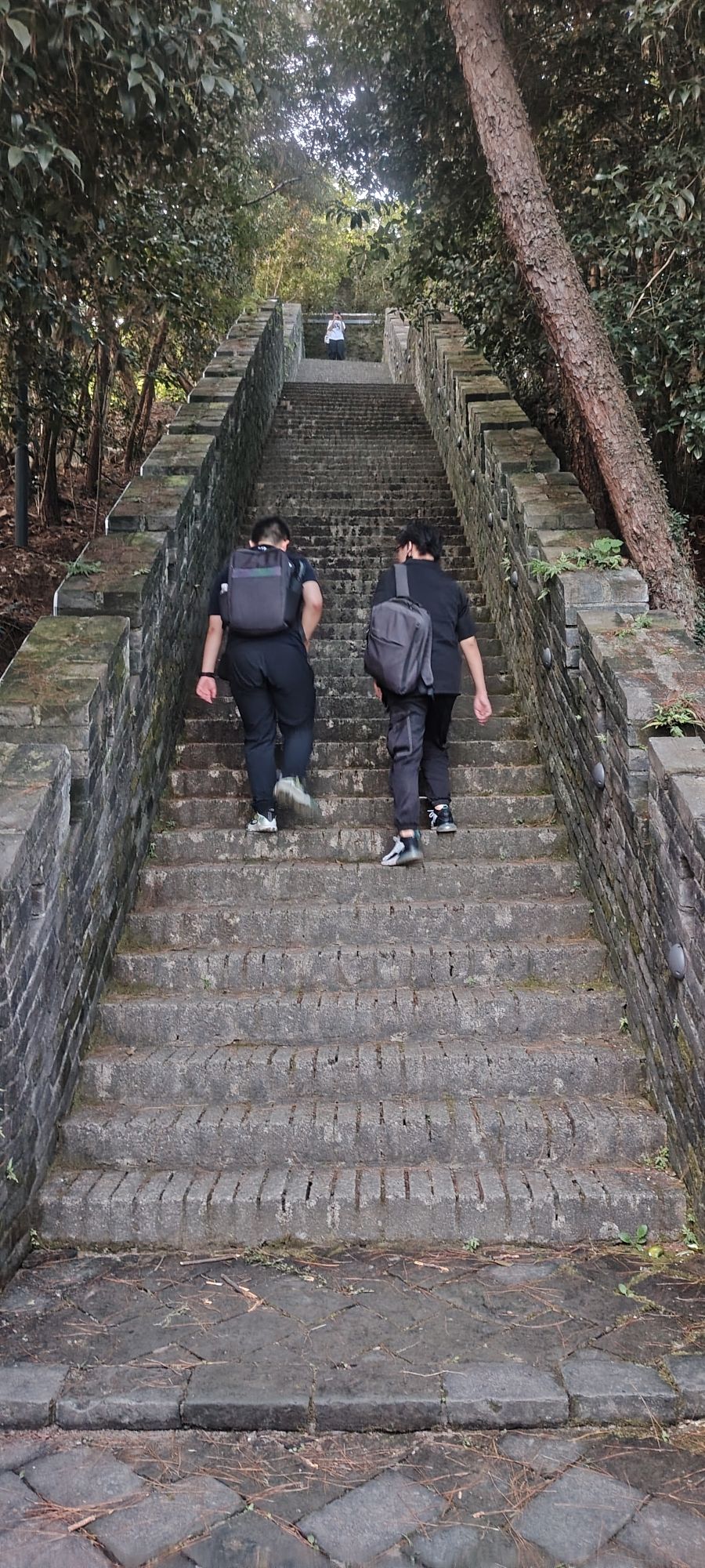 小长城旅行图片 2
