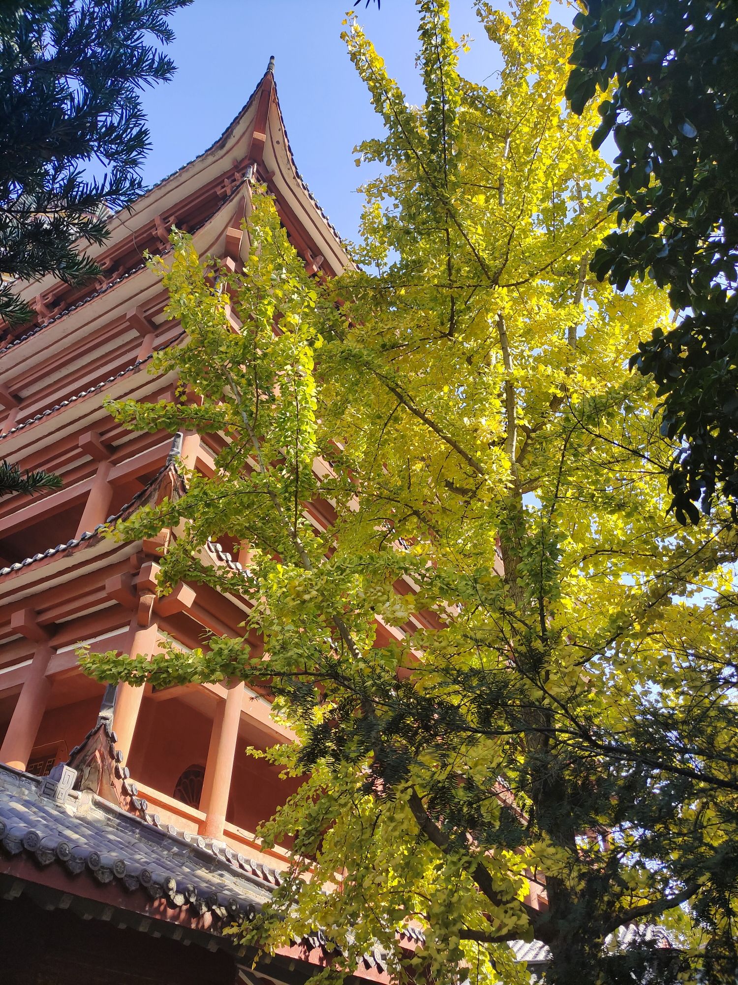 文昌里历史文化街区旅行图片 3