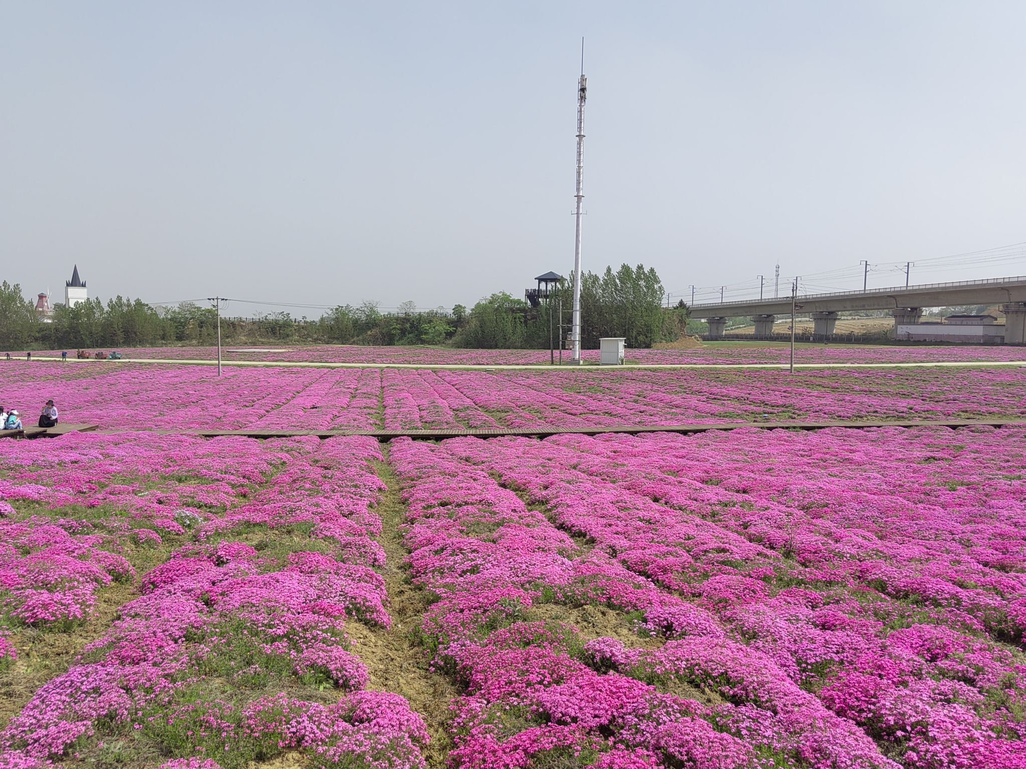 尖山湖逸趣园旅行图片 2