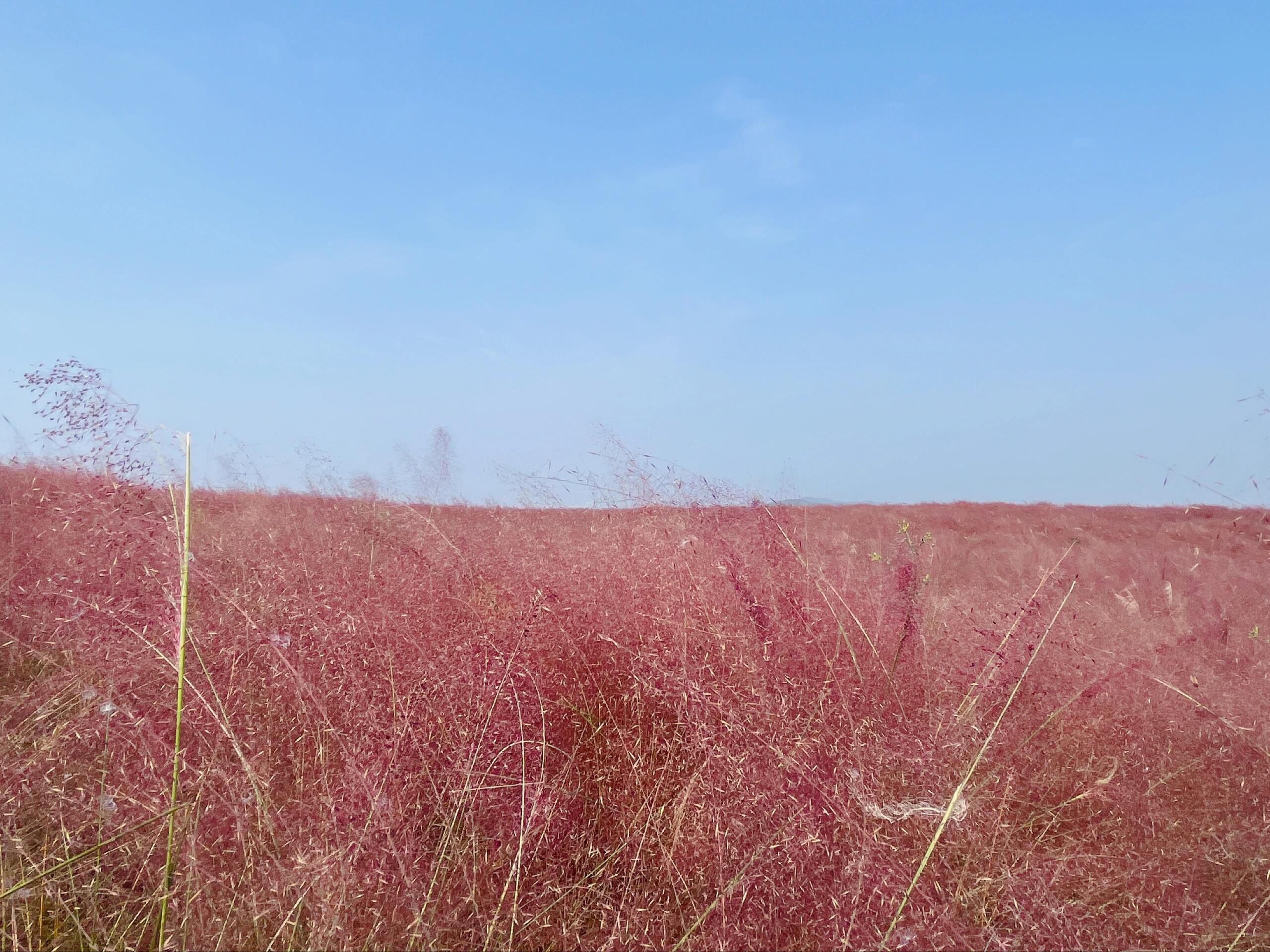 尖山湖逸趣园旅行图片 1