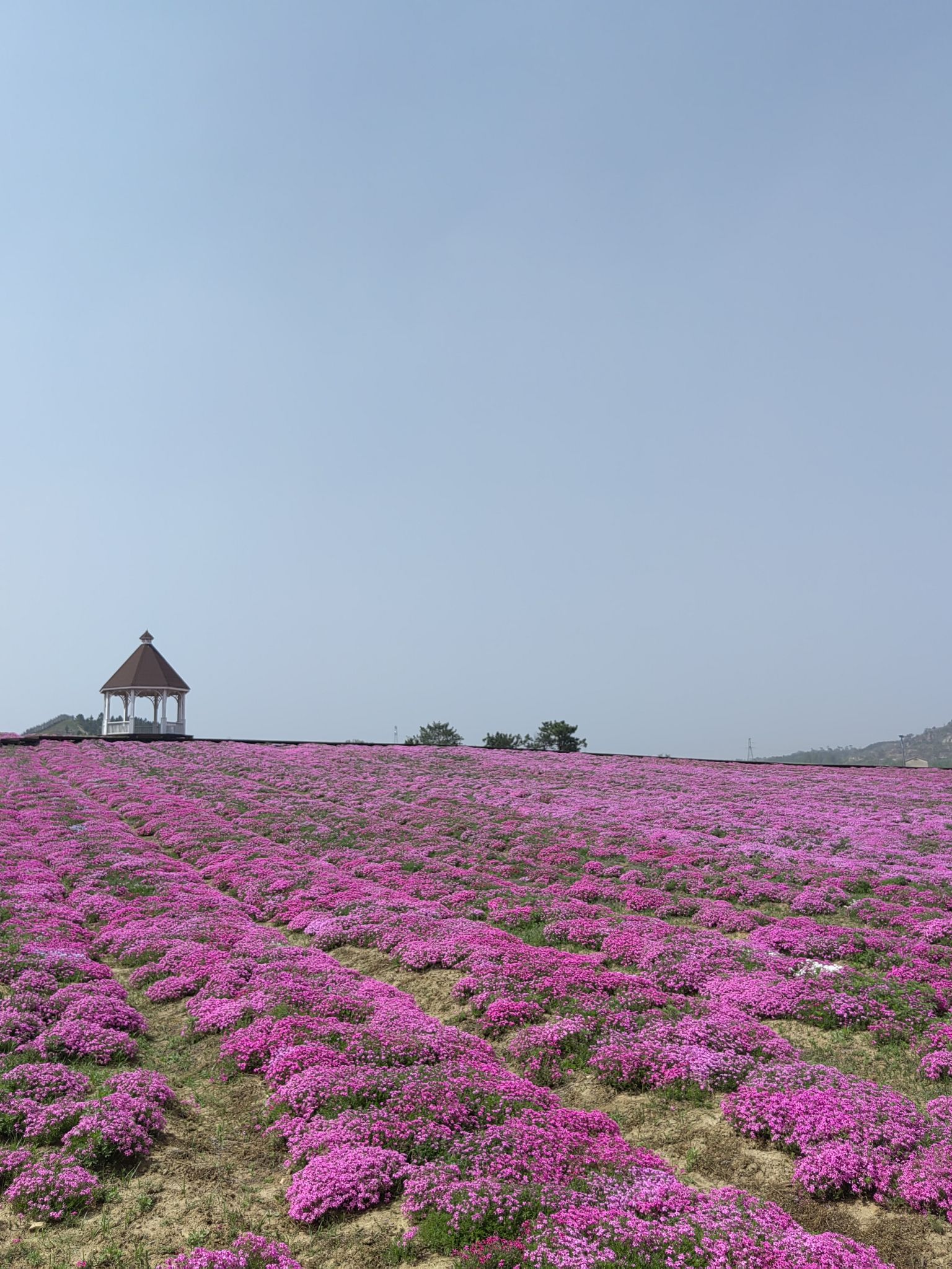 尖山湖逸趣园旅行图片 1