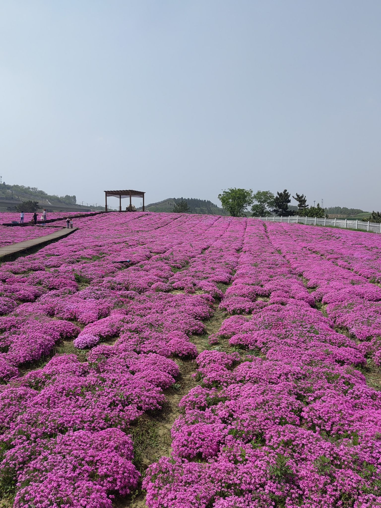 尖山湖逸趣园旅行图片 3