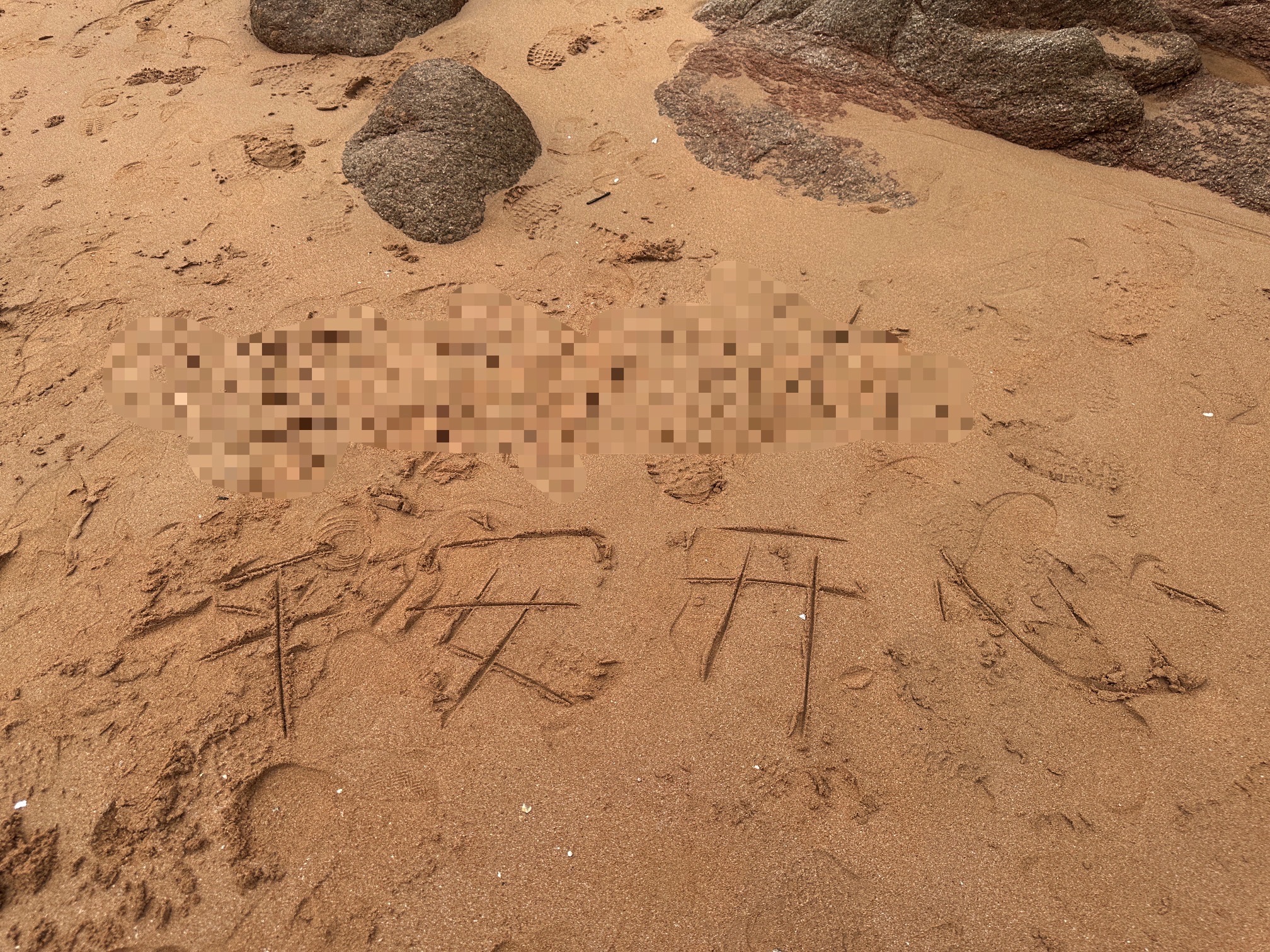 虞公亭沙滩旅行图片 2