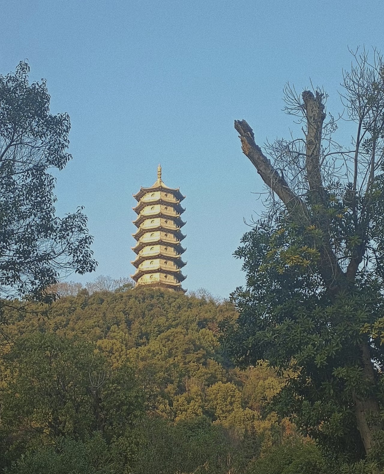 宜阳森林公园旅行图片 3
