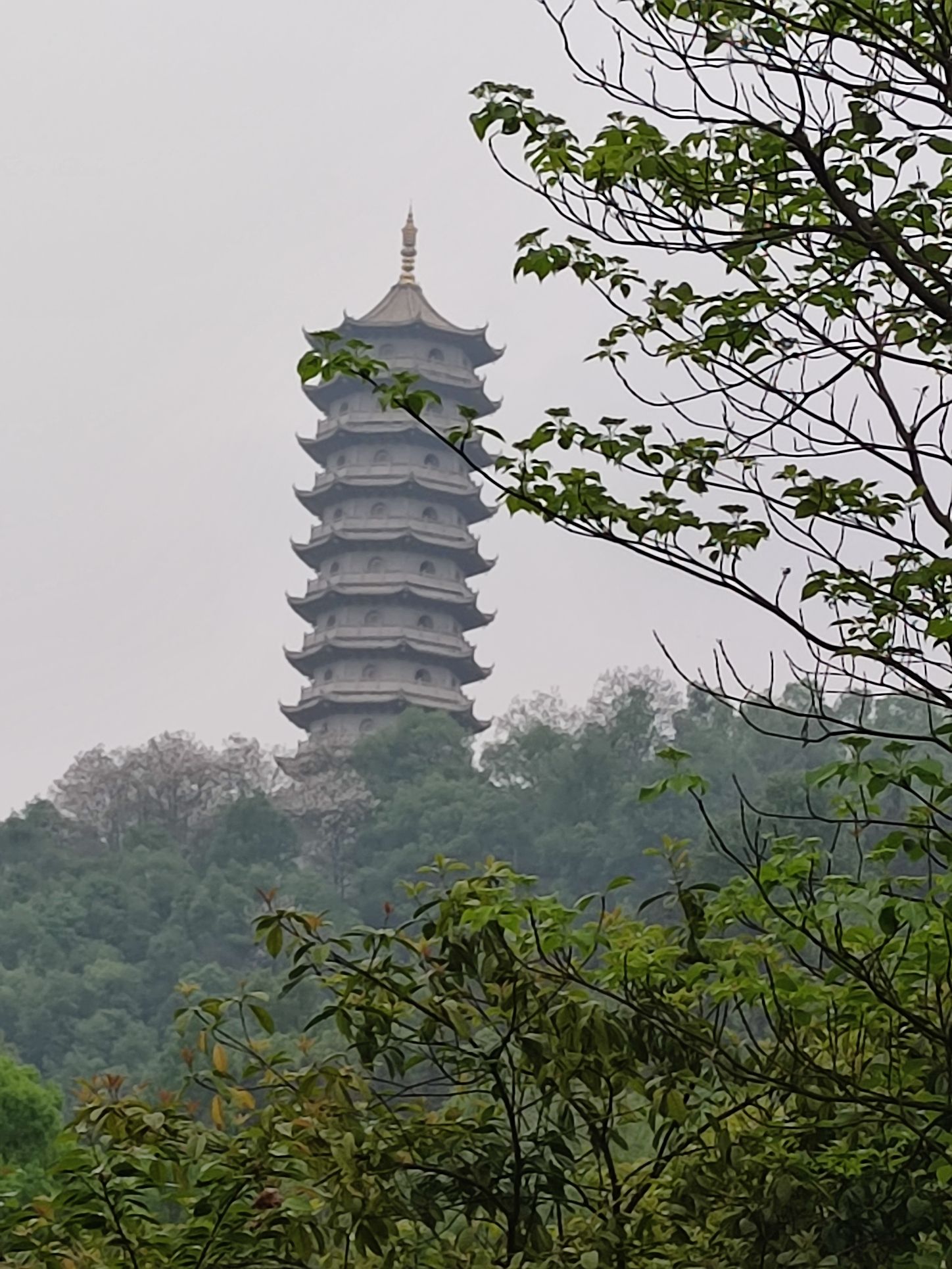 宜阳森林公园旅行图片 1