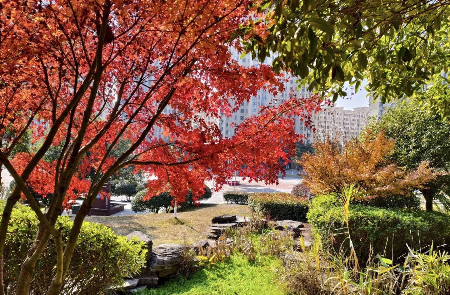 宜阳森林公园旅行图片 1