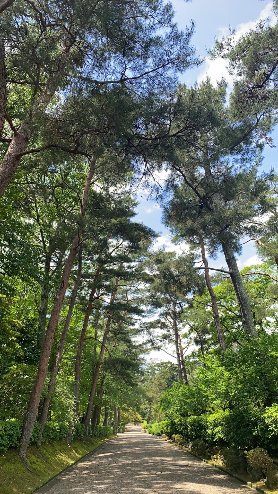 宜阳森林公园