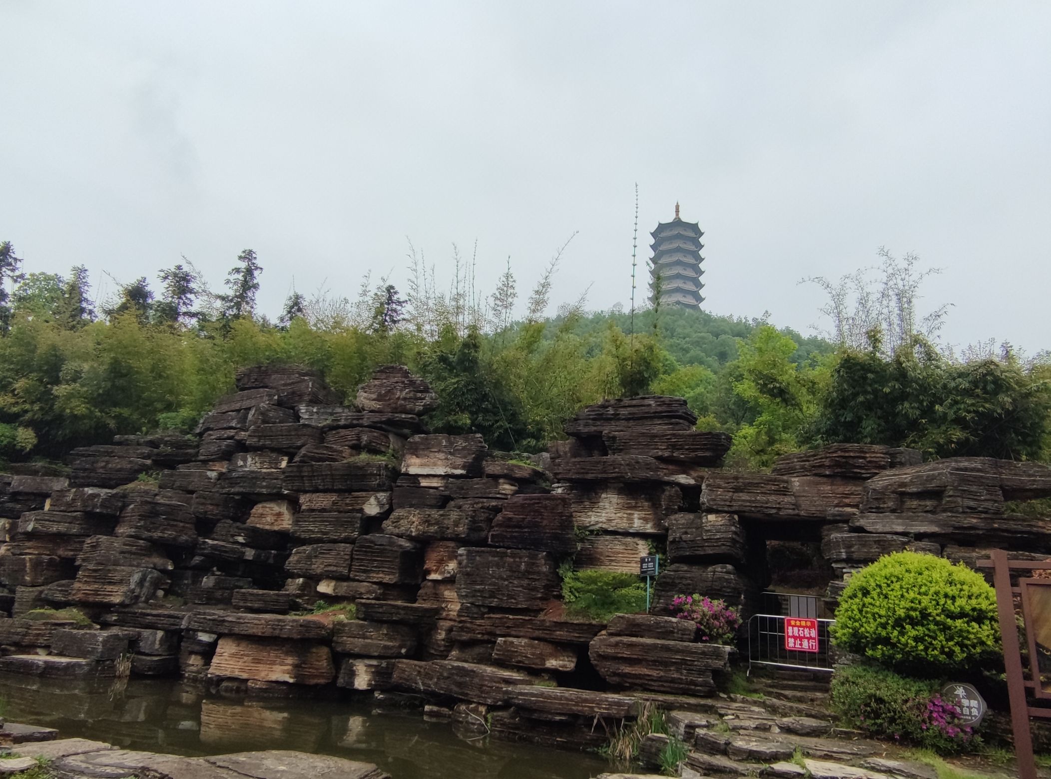 宜阳森林公园旅行图片 2