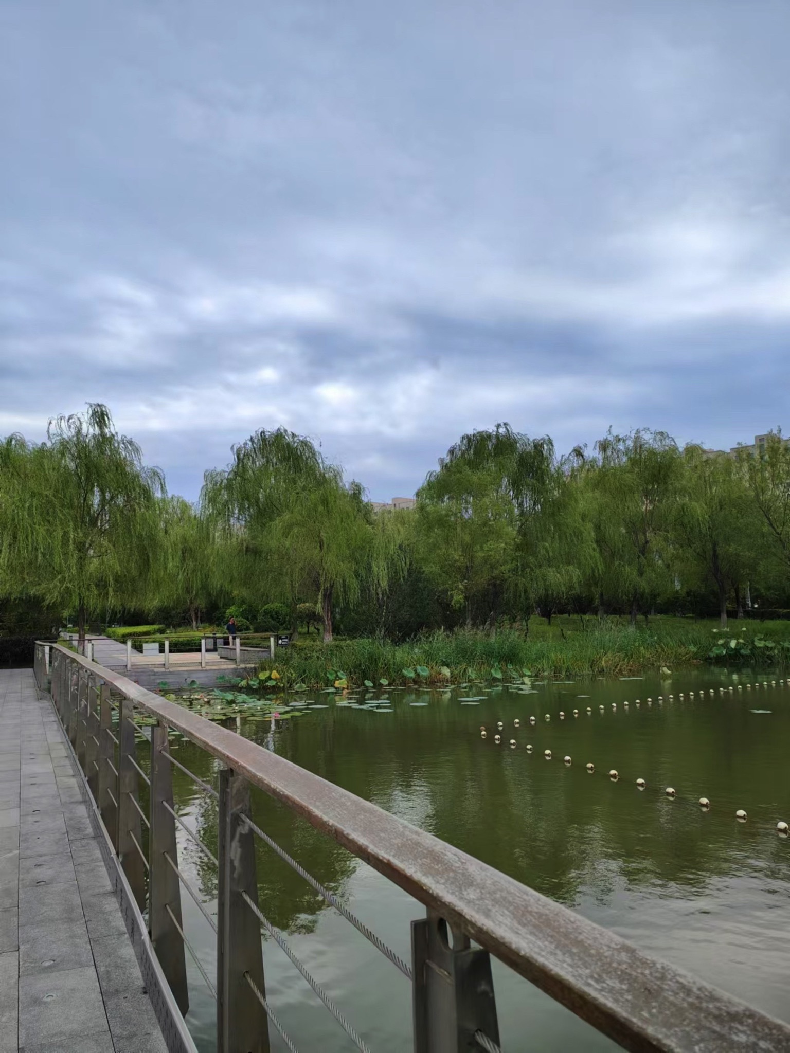 东篱公园旅行图片 1