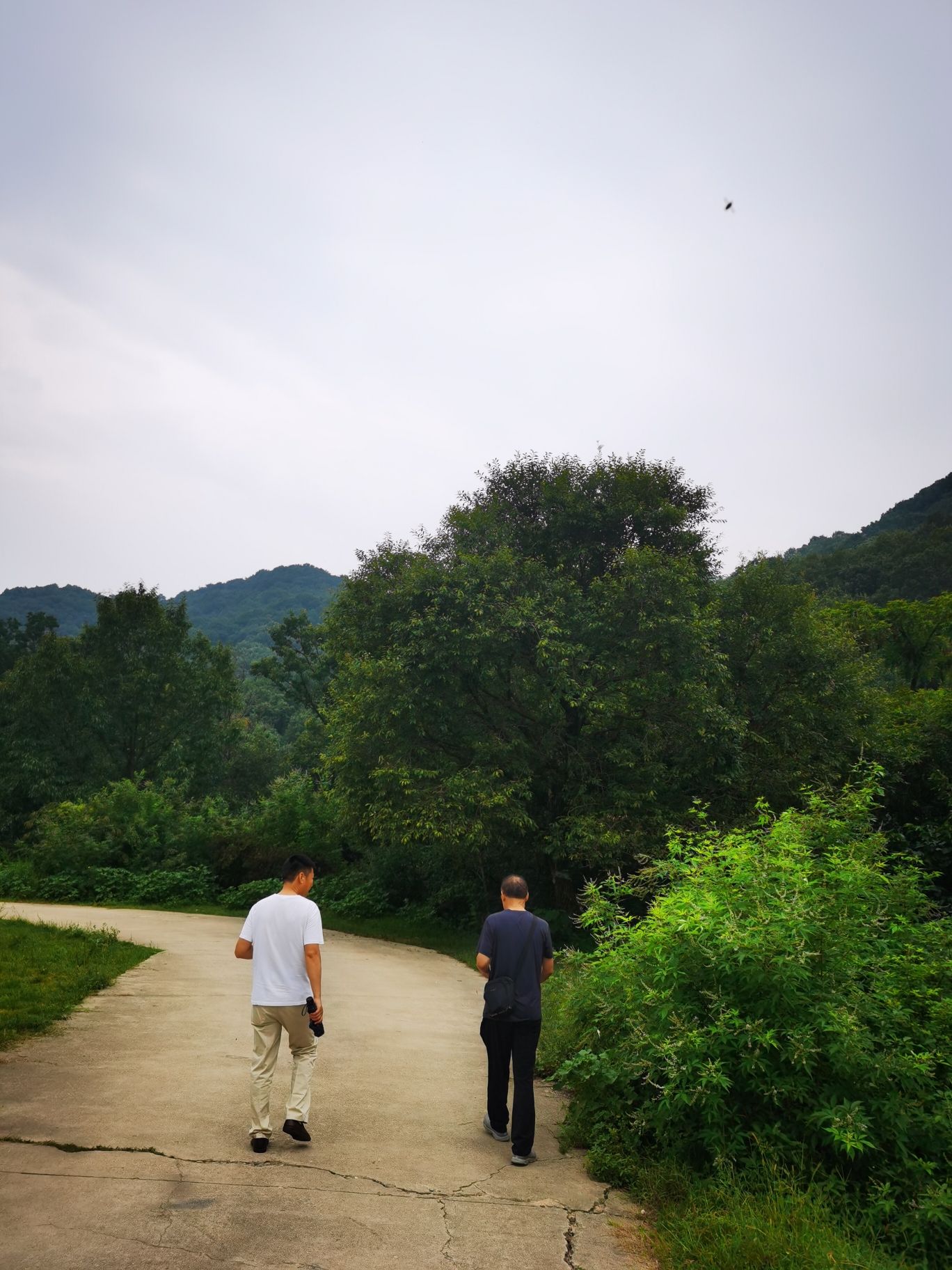 蚁蜂镇云梦山旅行图片 3