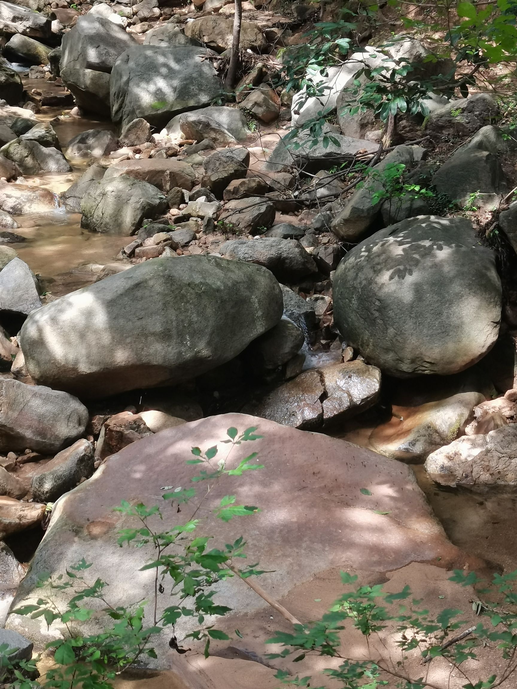 蚁蜂镇云梦山旅行图片 2